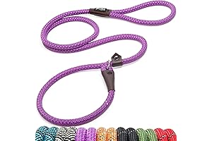 Durable Slip Lead Dog Loop Leash