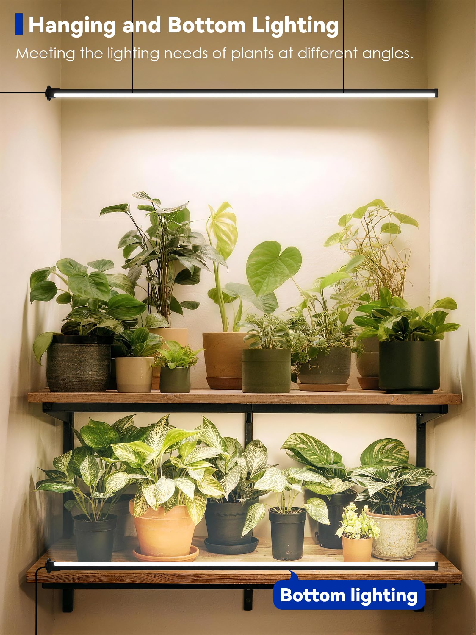 GLOWRIUM Stehendes Wachstumslicht mit Auto-Timer, 36 W vertikale Wachstumslichter für Zimmerpflanzen, 3 Lichtmodi, 268 LEDs.