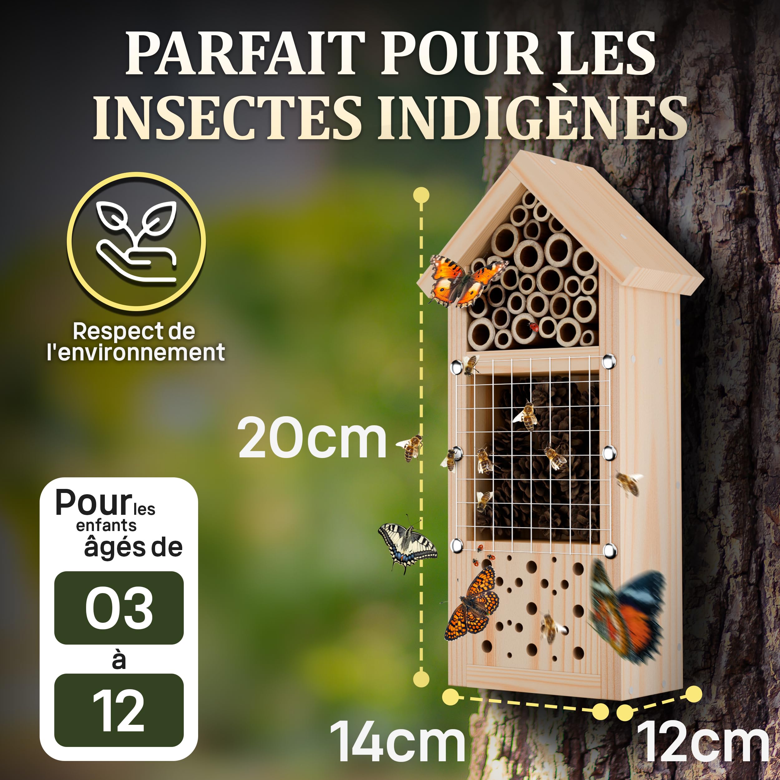 Eli Kit de construction d'hôtel à insectes pour enfants en bois de pin à peindre – Comprend 6 couleurs – Brosse – Marteau – Clous – Pochoirs et modèles – Maison d'abeille et hôtel pour jardin et