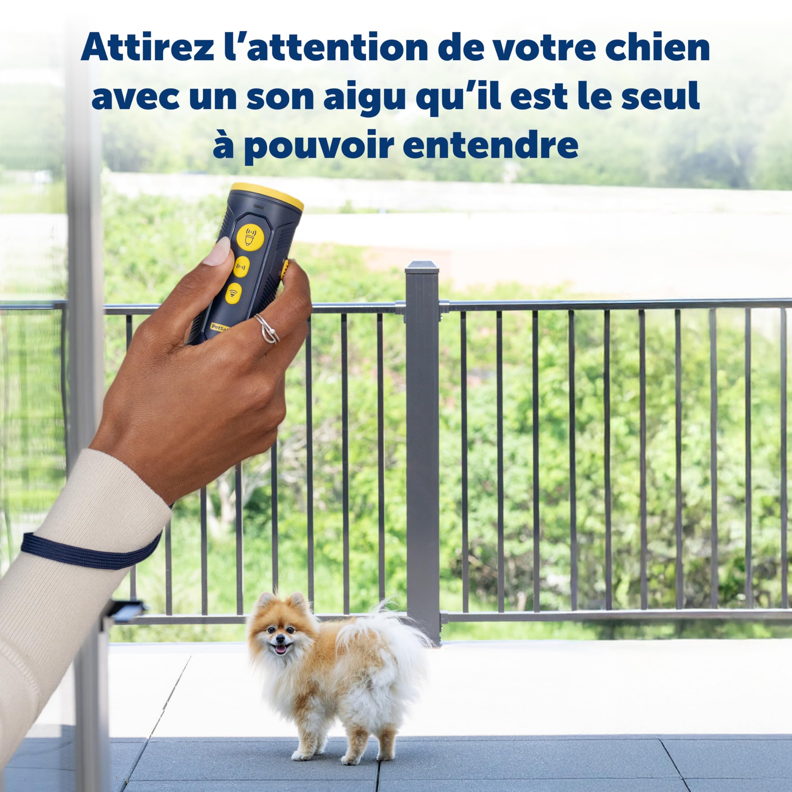 PetSafe Dispositif d'éducation à Ultrason sans Collier