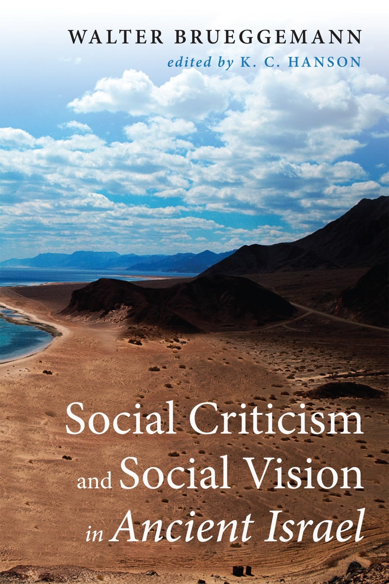 Buy Social Criticism and Social Vision in Ancient Israel — BookShops.in
