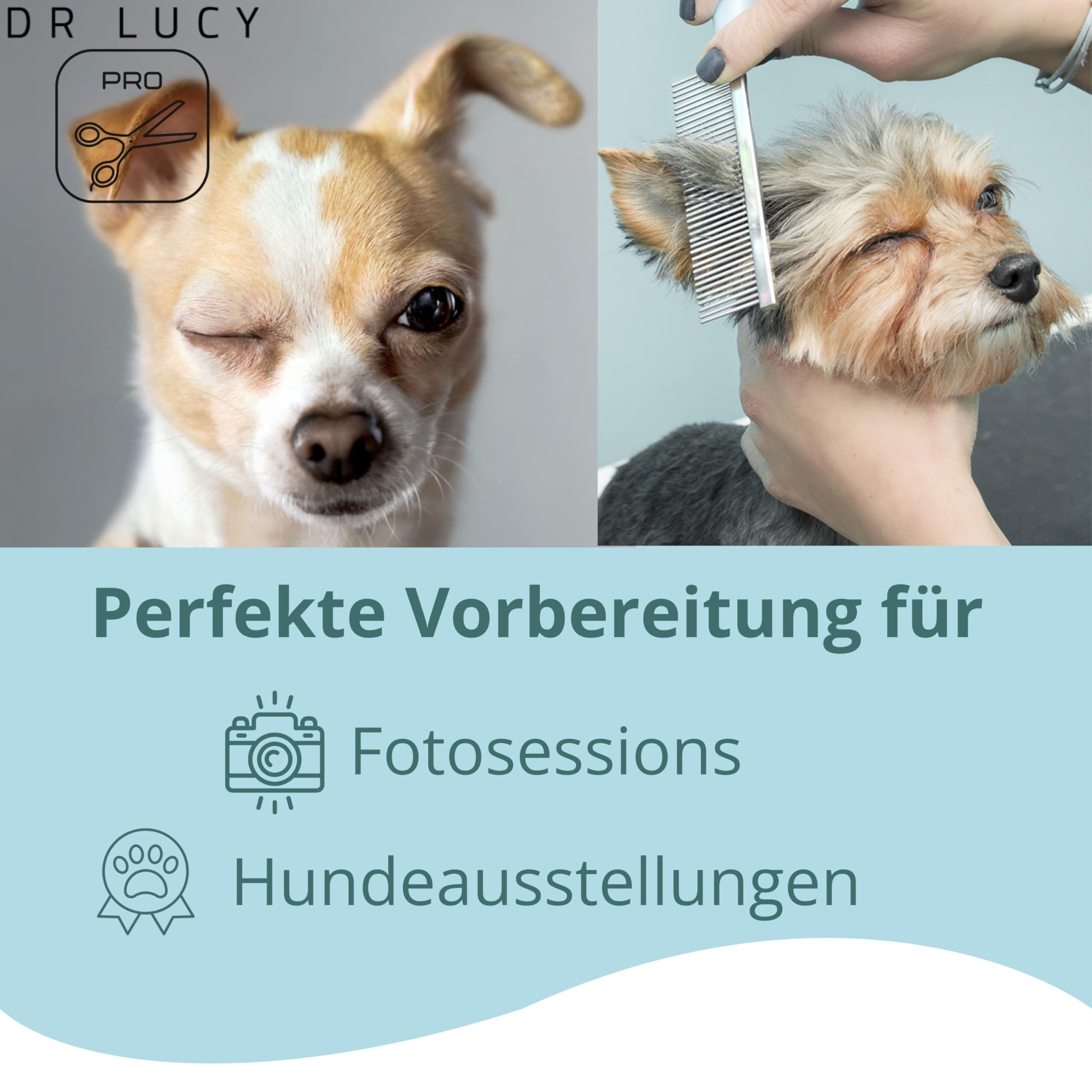 DR Lucy Pro Easy Brush Oil 500 ML Huile démêlante - Concentré | Huile démêlante pour chien avec huile d’amande et vitamine E pour le soin nourrissant du pelage