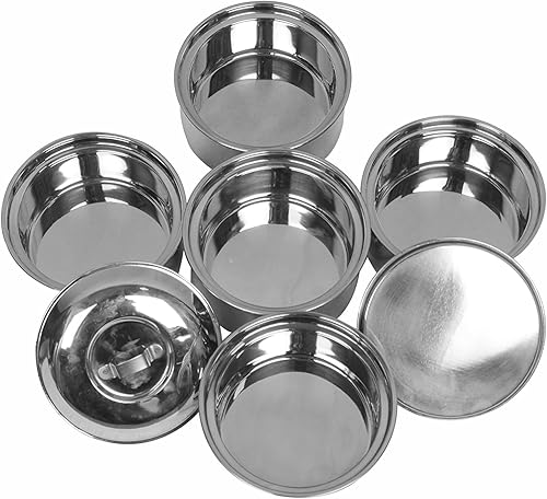 Tiffin de acero inoxidable aislado de 5 niveles | Fiambrera | Fiambrera de oficina sin BPA para adultos