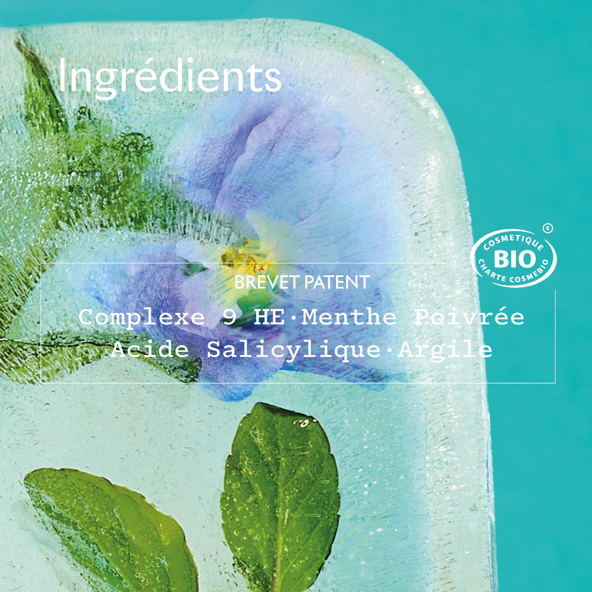 Sanoflore Magnifica Bio-Maske gegen Unreinheiten – Mattierende Pflege für Mischhaut bis fettige Haut – 75 ml