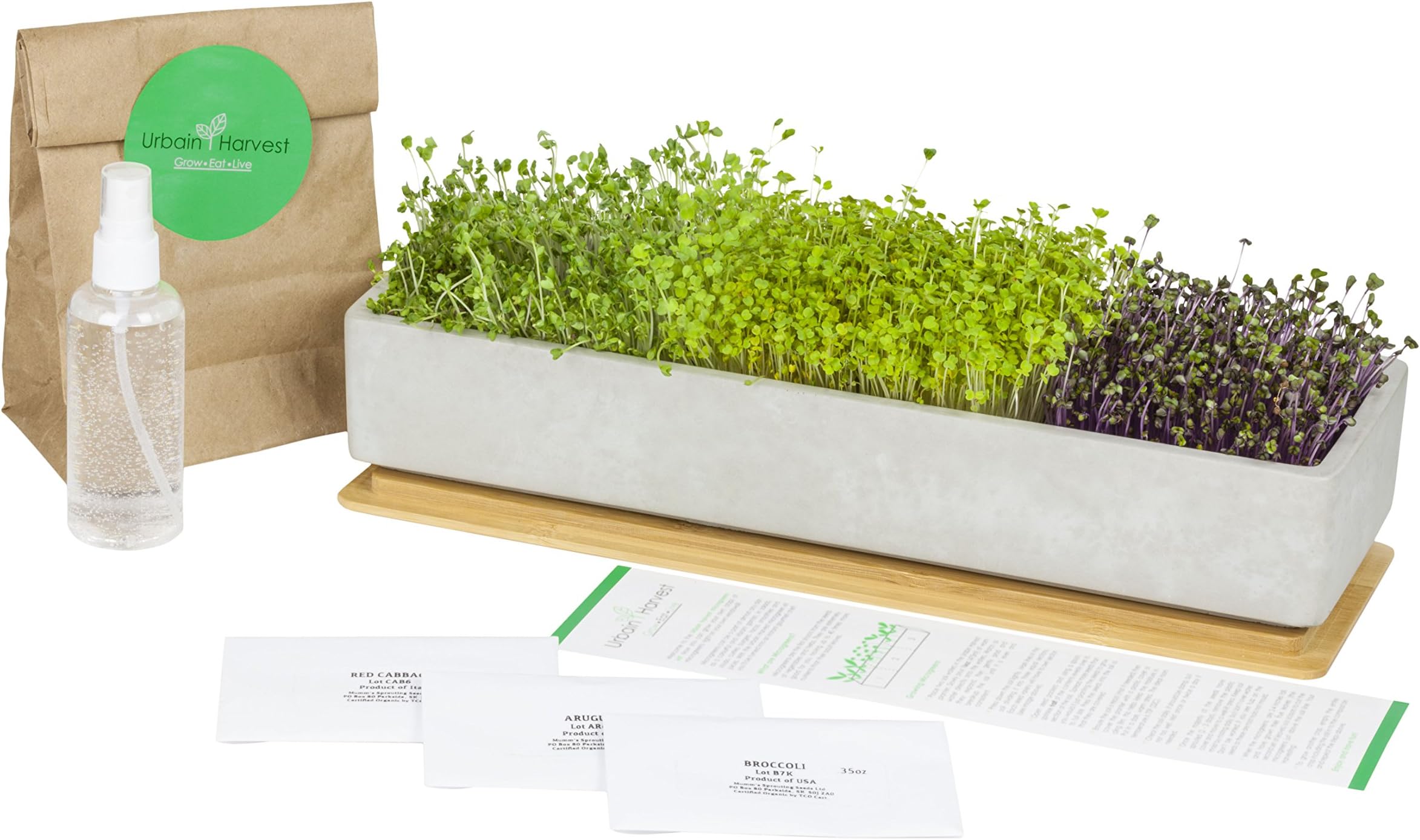 Concrete Bamboo Microgreens Kit – Unique Design Window Box and Indoor Kitchen Centerpiece. Easy to Grow Your Own Organic Non-GMO Microgreens, Superfood, Herb Garden. Harvest 7-10 Days