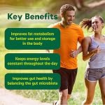 Organika Berberine - High Potency 1000mg per Day, Cholesterol and Glucose Metabolism Support, Helps Maintain Cardiovascular Health - 60vcaps