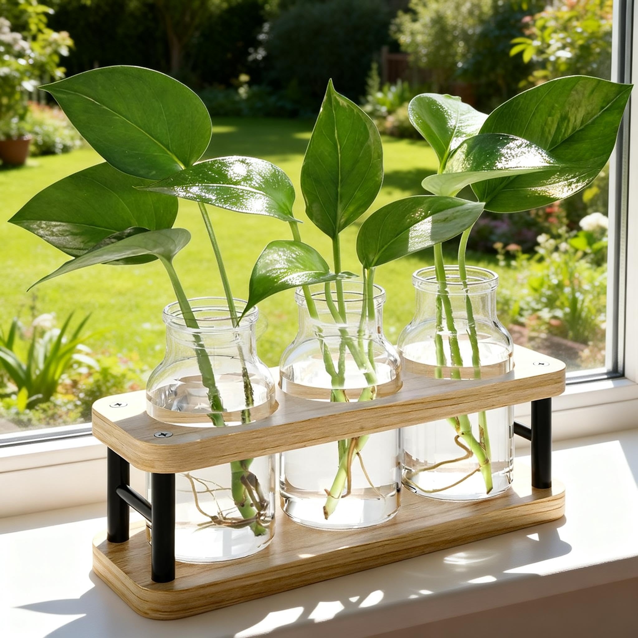 Stations de propagation de plantes hydroponiques avec vase en verre et bois
