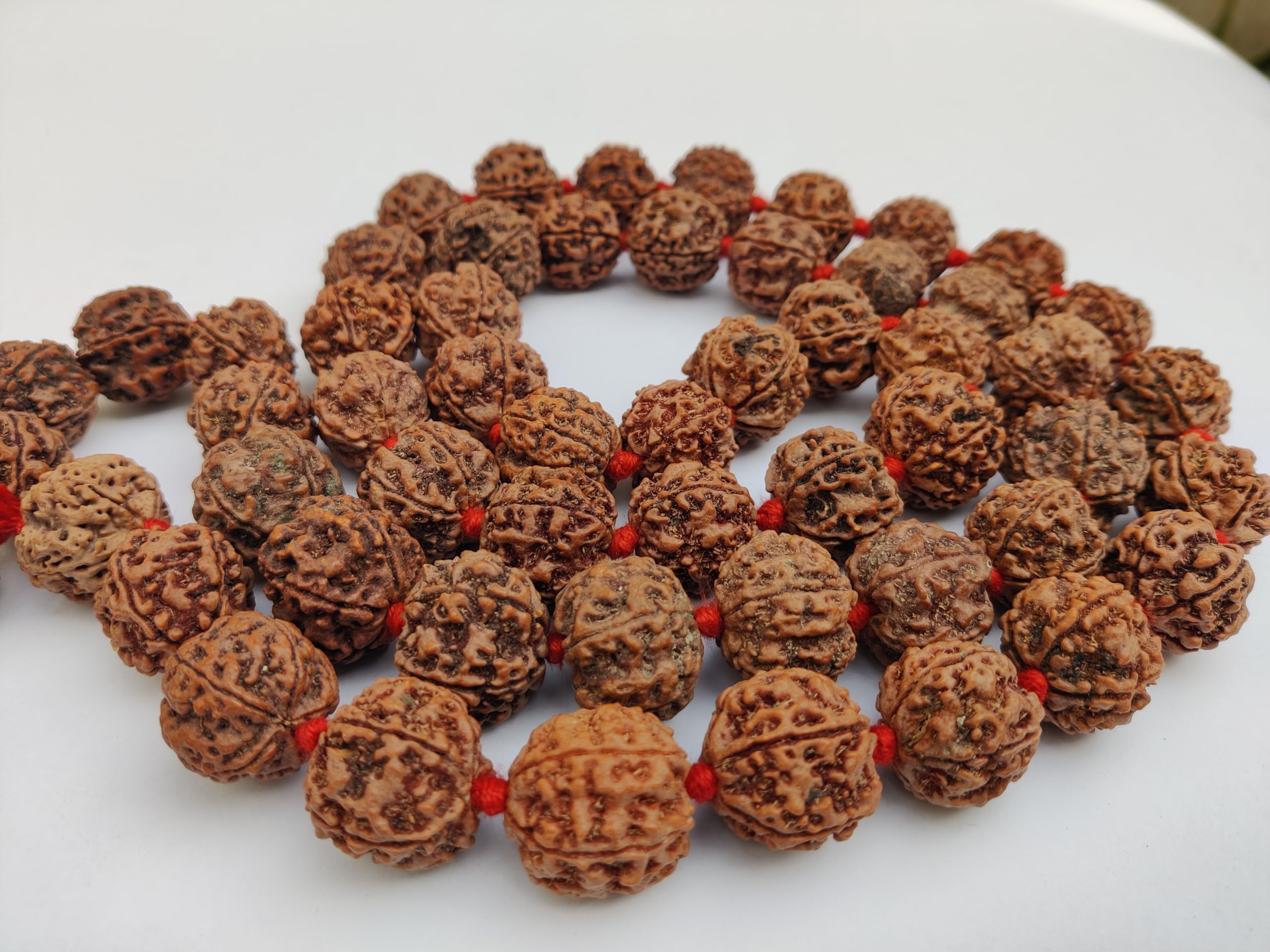 5 Mukhi Rudraksha Mala - Natural & Lab Certified -3
