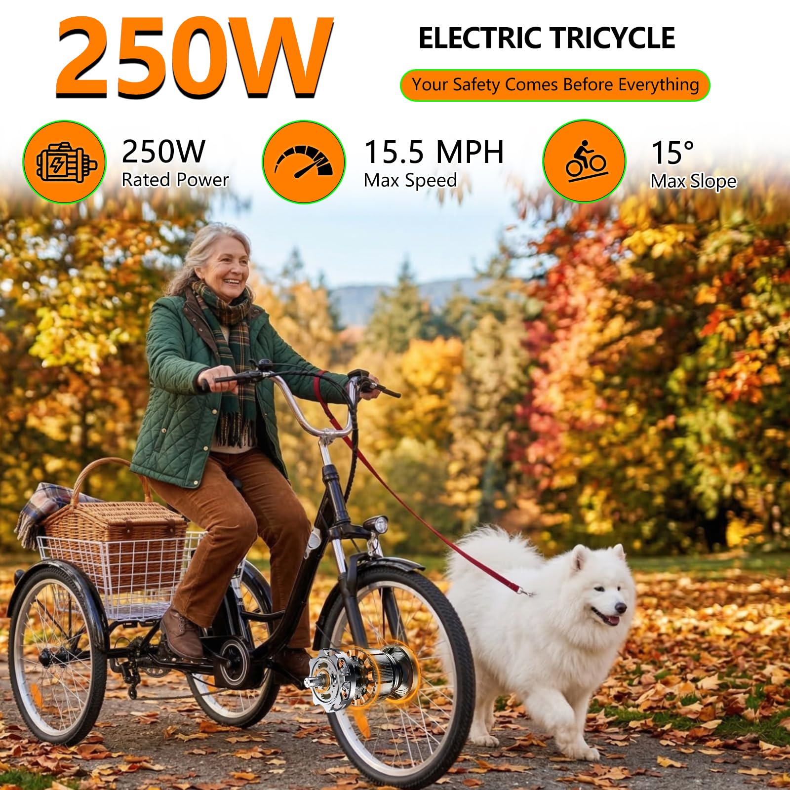Triciclo elettrico per adulti, bicicletta elettrica da 24", per uomo e donna, con batteria da 36 V, 15 Ah, fino a 50 km, motore da 250 W, con display LCD, 25 km/h, cestino anteriore e