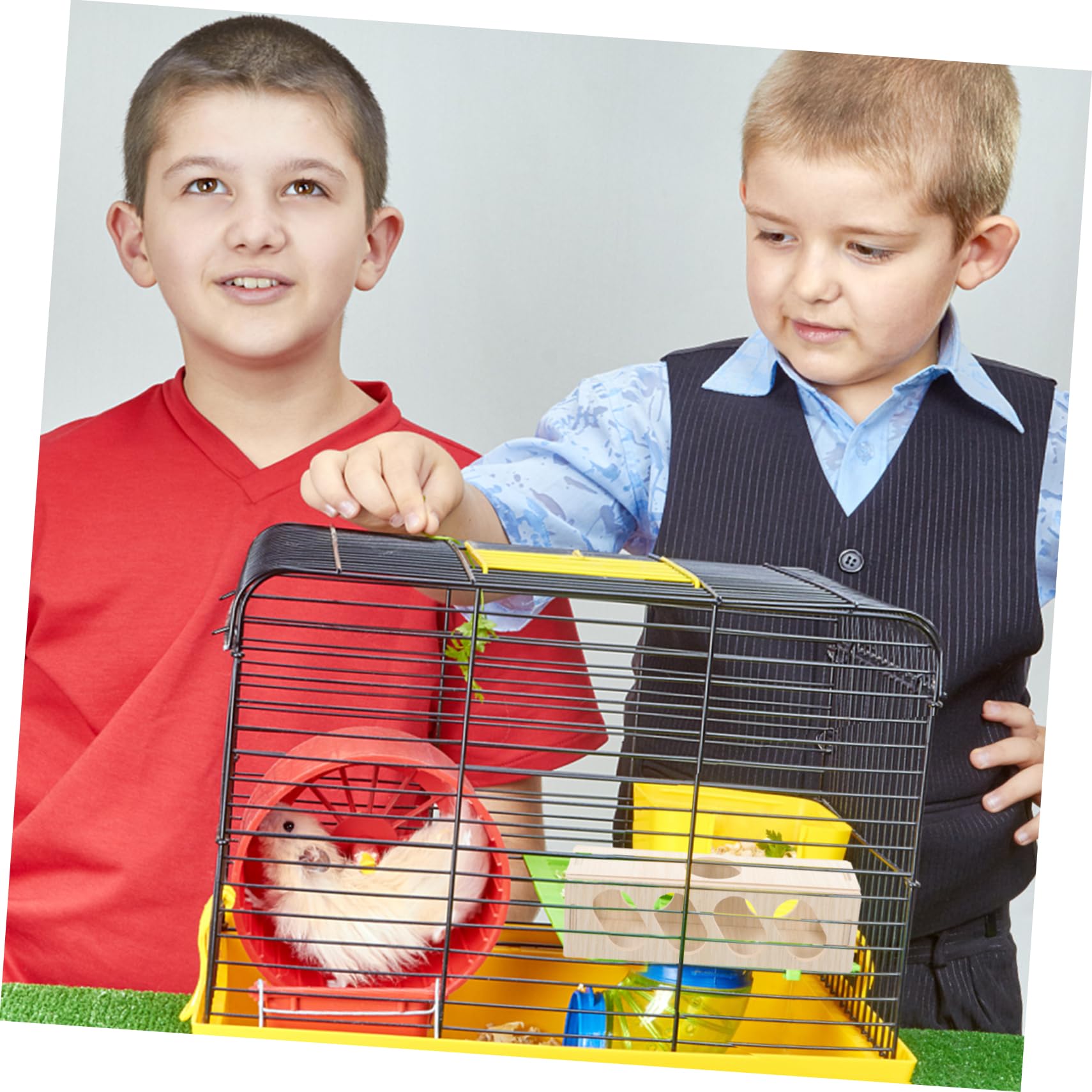 Abaodam Hamster Exploration Tunnel Natural Hideout Accessory for Pets Fun Guinea Pig House Hamster Tubes Safe and Smooth Surface for Mice Playtime