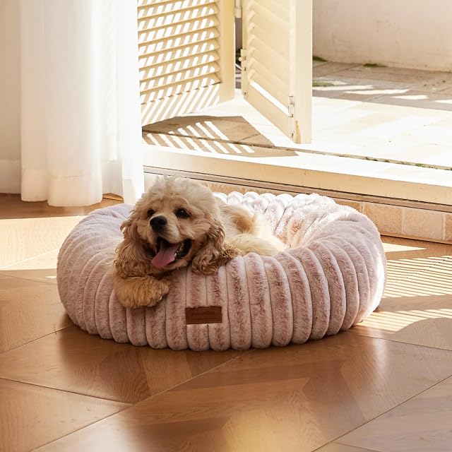 Foto 7 de 8 de FUKUMARU Cama para Perros, Cama para Gatos de Interior, Cama ortopédica para Perros, Funda Lavable