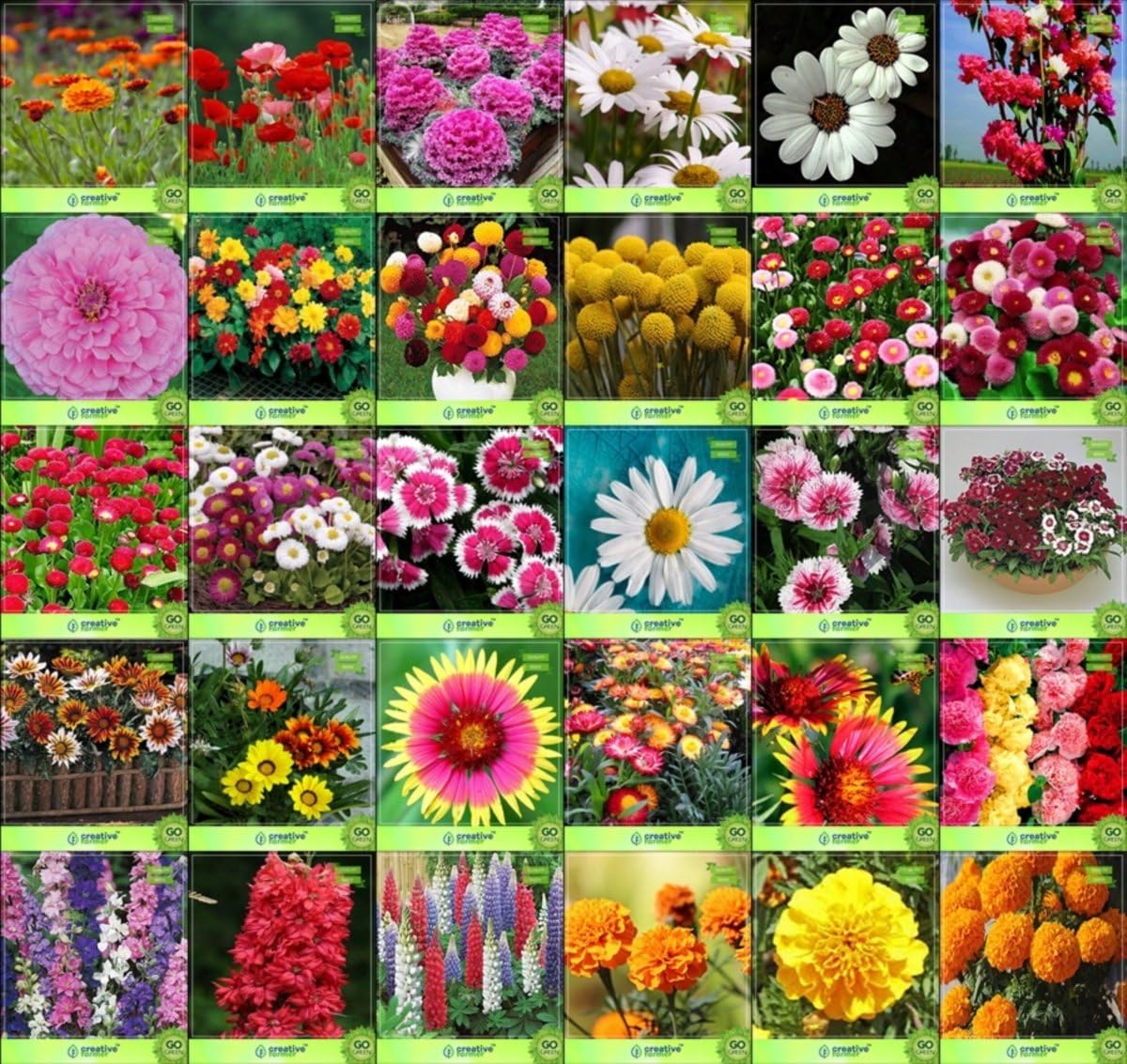 Creative Farmer Flower Seeds Garden Decor Seeds For Pots