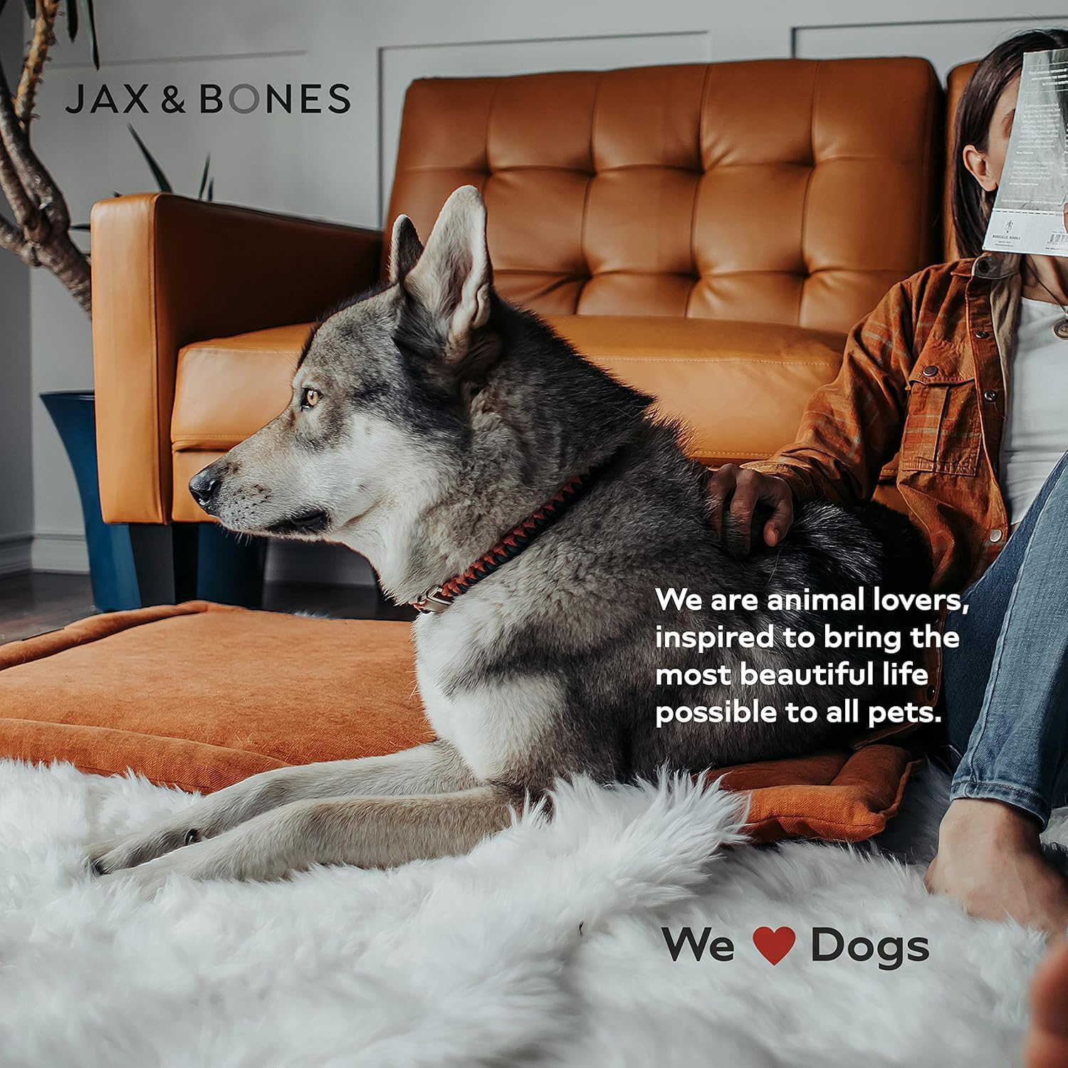 Jax & Bones Dog Crate Cover & Dog Crate Pad Set - Includes Crate Bed, Kennel Cover, & Soft Liner That Acts Like a Bumper - Small Lark Ivory - Made in USA