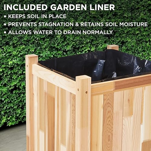 Miniatura 5 de Jumbl Maceta de cedro canadiense | Cama de jardín de madera para cultivar flores, suculentas y otras plantas en casa | Ideal para patio al aire