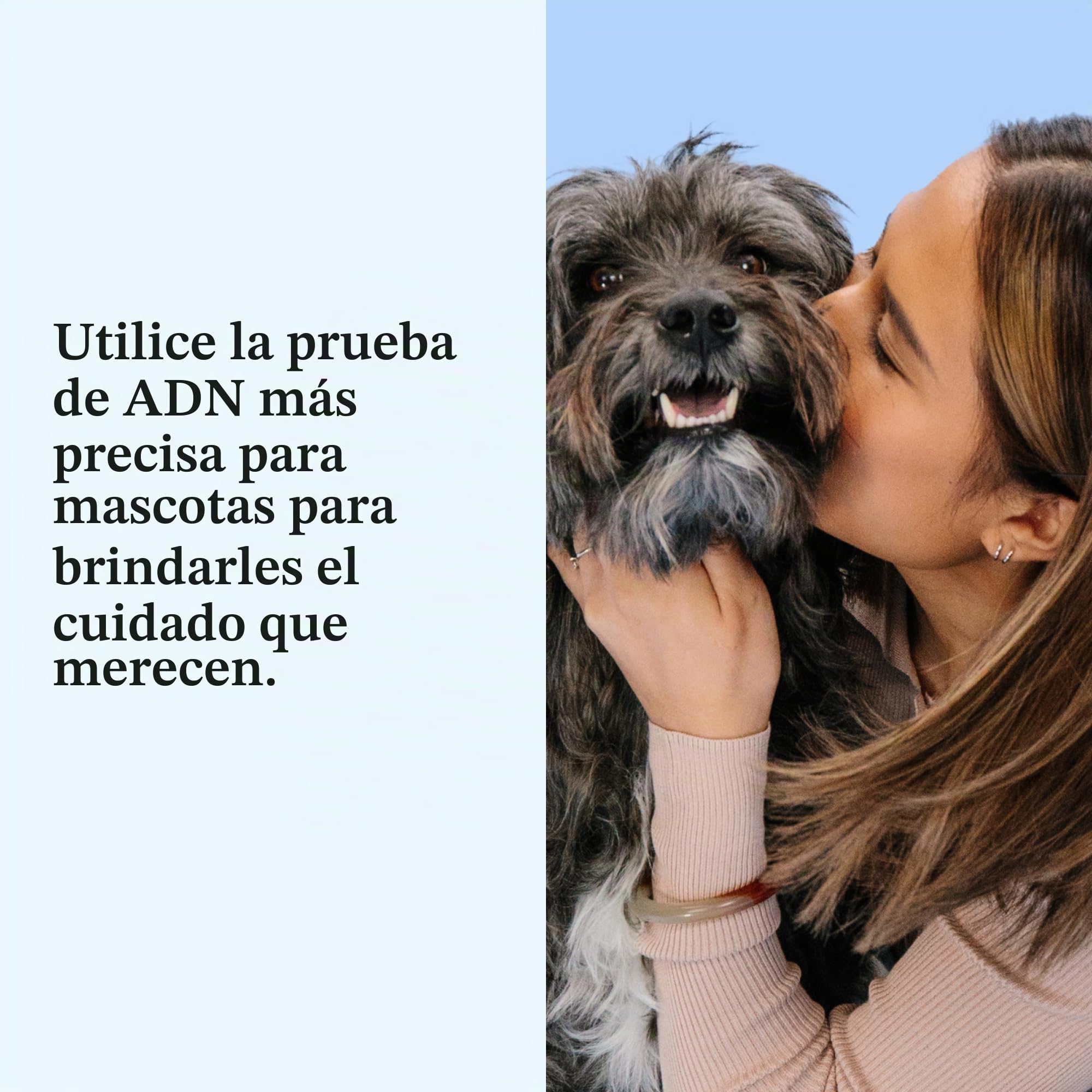 Wisdom Panel Esencial – Prueba de ADN para Perros ancestrales, Razas, propiedades y Pruebas de Salud