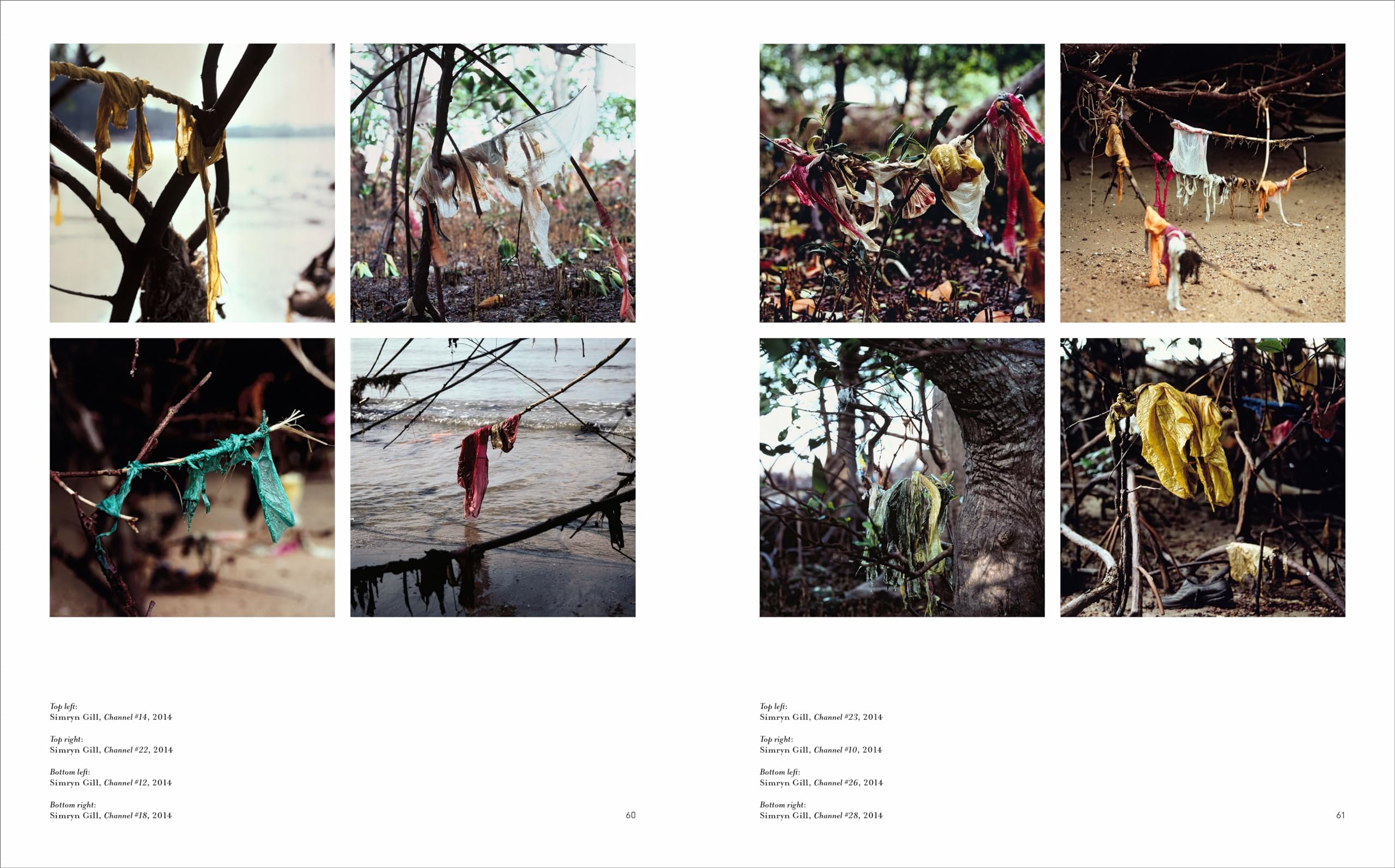 Re/Sisters: A Lens on Gender and Ecology