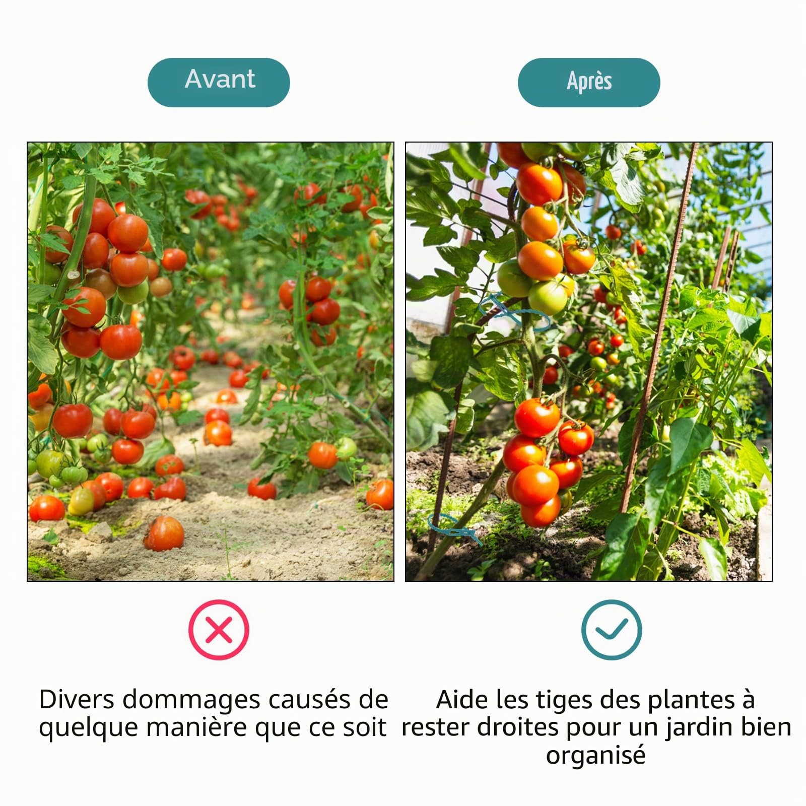 KINGLAKE 200 pièces17 cm Attaches Plantes réglables, Attaches de Tomate Arbre Flexibles, Liens de Jardinage pour Ligatures, Attache Tuteur Jardin en Plastique pour Le Soutien des Plantes