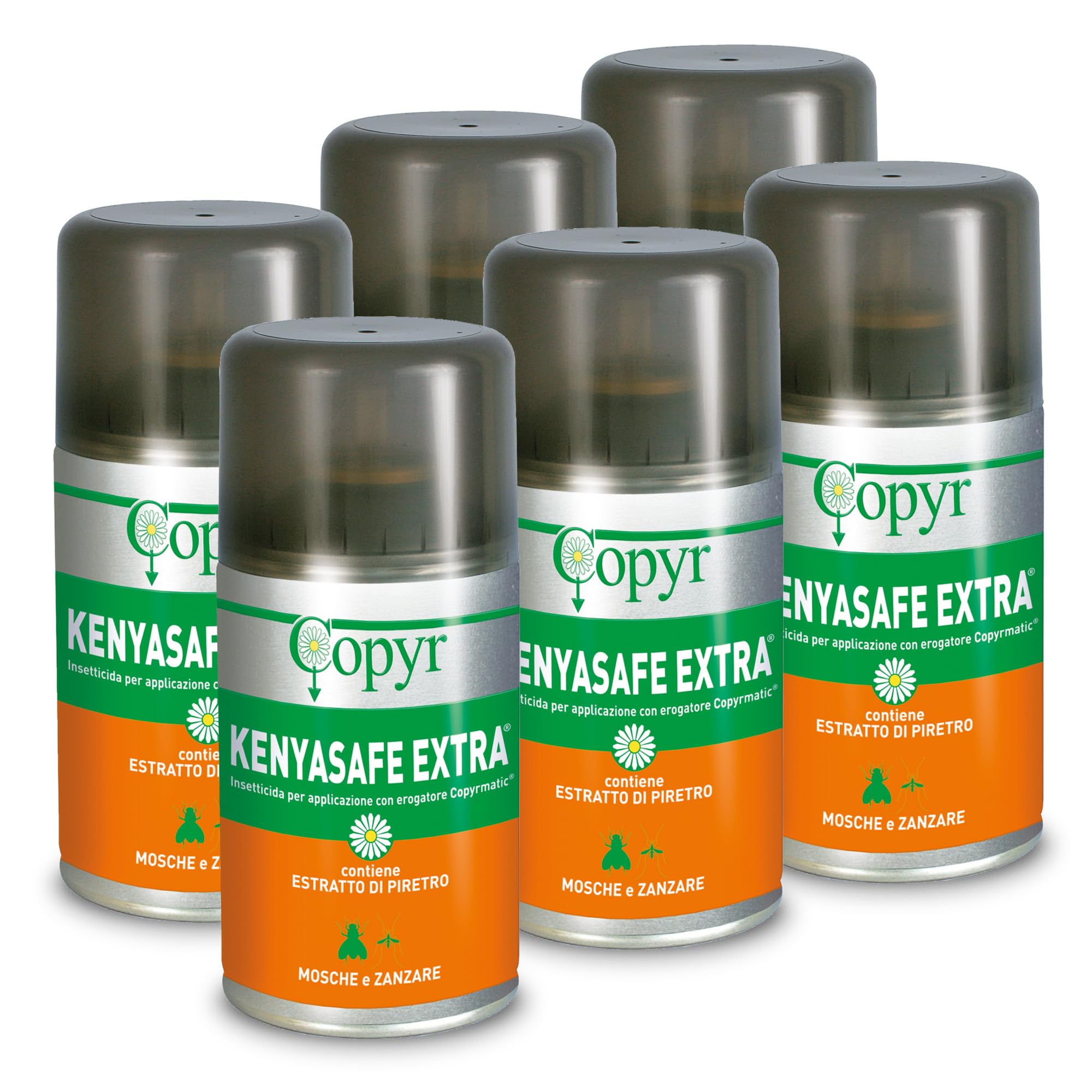 Copyr Kenyasafe Extra - Insetticida Antizanzare, Mosche e Insetti Volanti, 6 Bombole 250ml, Piretro Insetticida Biologico Repellente Zanzare Professionale Casa, Ho.Re.Ca., Settore Pubblico e Sanitario