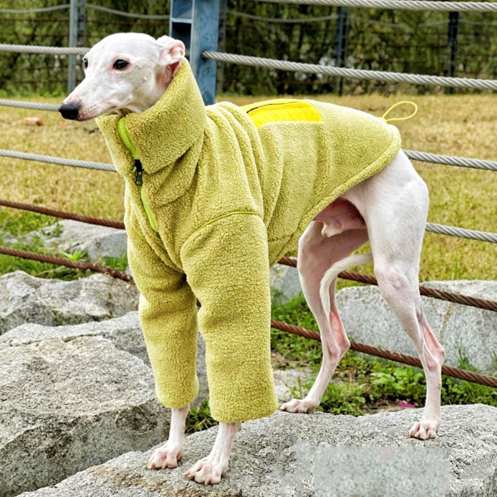 Manteau réversible for lévrier Italien, vêtements d'hiver à Fermeture | Sweat-shirt chaud à col roulé à deux pattes en polaire Sherpa Whippet for chiens de petite(XL)