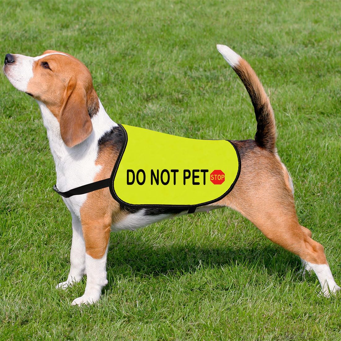 Cenwa Nervous Dog Jacket - Working Dog Vest (Do Not Pet - L), DO NOT PET L EU, Medium, Large - Image 4