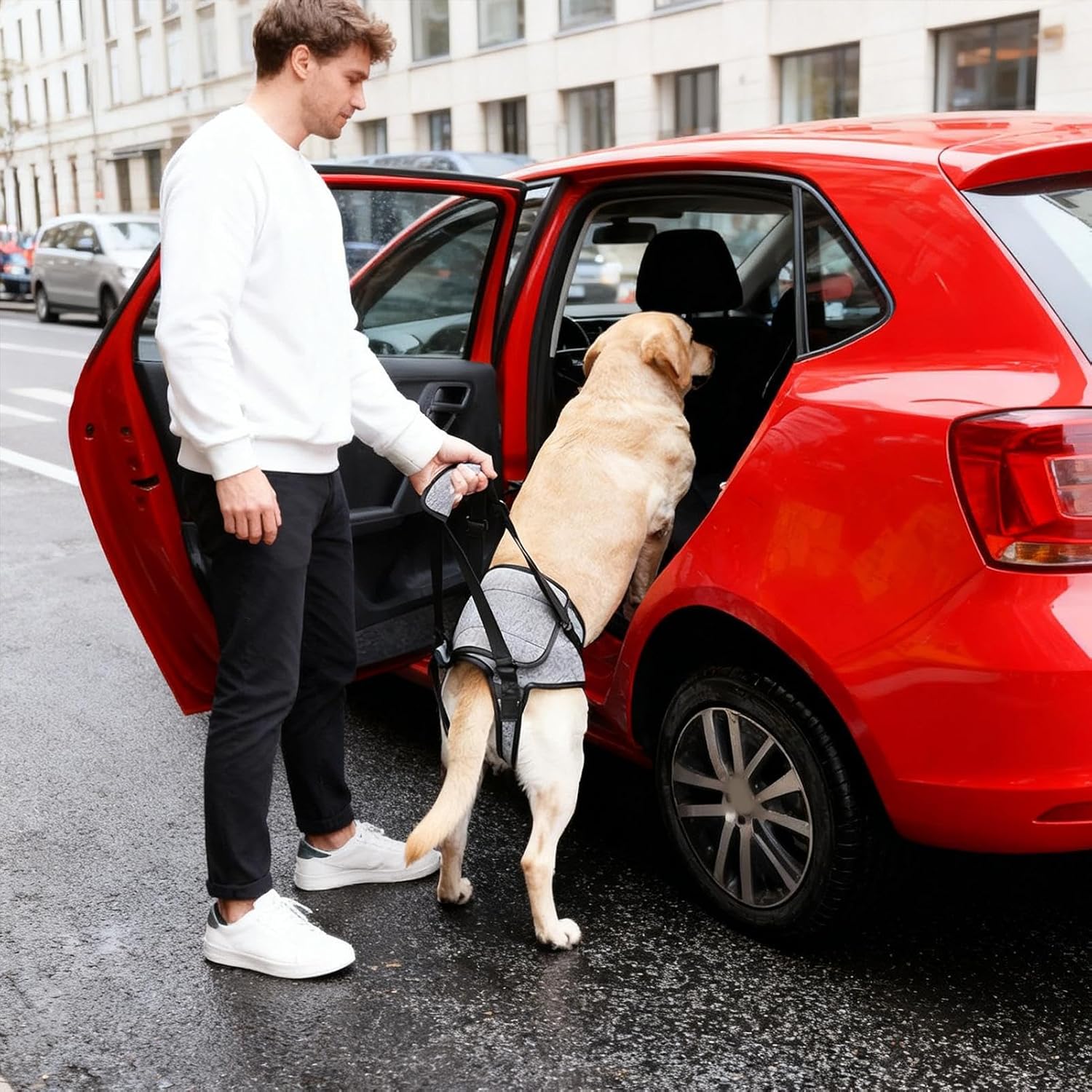 Dog Lift - Harness for Back Legs, Elastic Quick Release Carrier Aid, Comfortable Support, Easy Use, Pet Mobility Tool, Dog Support Accessory for Indoor Walking Vet Visit Car Bathing Recovery