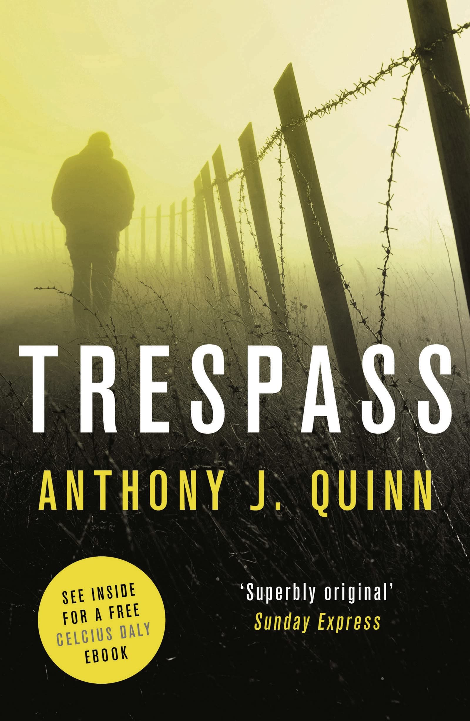 Trespass by Anthony J. Quinn (Paperback, 2017)