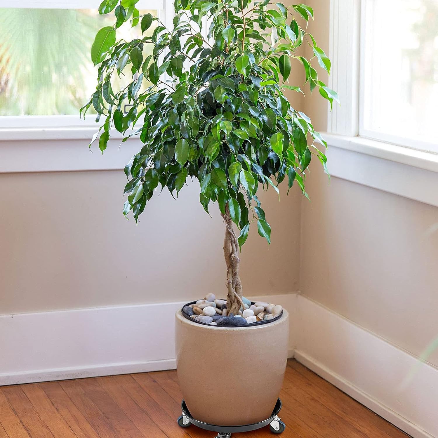 HOIGON 2 Pack 11.8 Inch Metal Plant Caddy with Wheels, Drain Tube and Water Tray, Heavy Duty Plant Pallet Caddy, Round Rolling Plant Stand Flower Planter Pot Mover for Indoor Outdoor