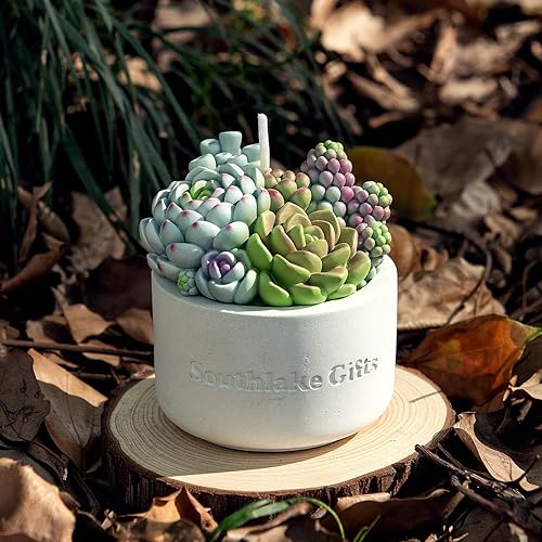Miniatura 4 de Surtido suculento olla perfumada vela de cera vegetal para spa decoración del hogar regalo de boda