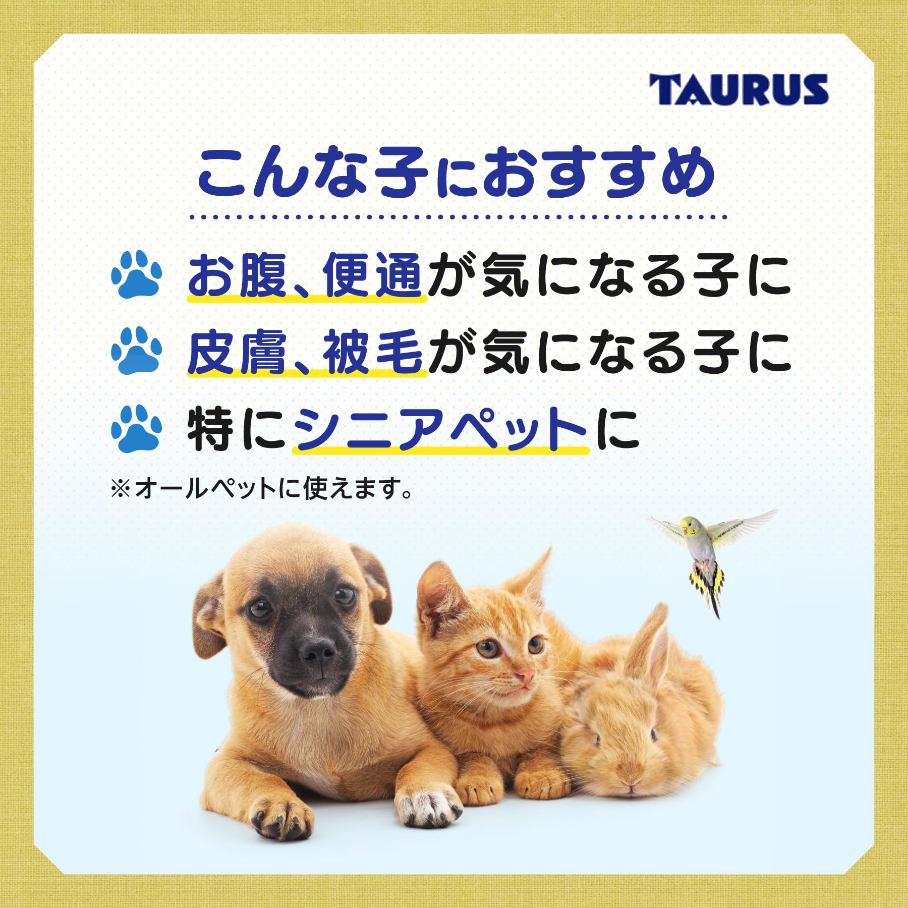 【レアちゃん専用】トーラス ペット愛犬用 ドッグB&S 栄養補完食 11箱セット トーラス ペット愛犬用 ドッグB&S 栄養補完食 1g×60包 11箱セット