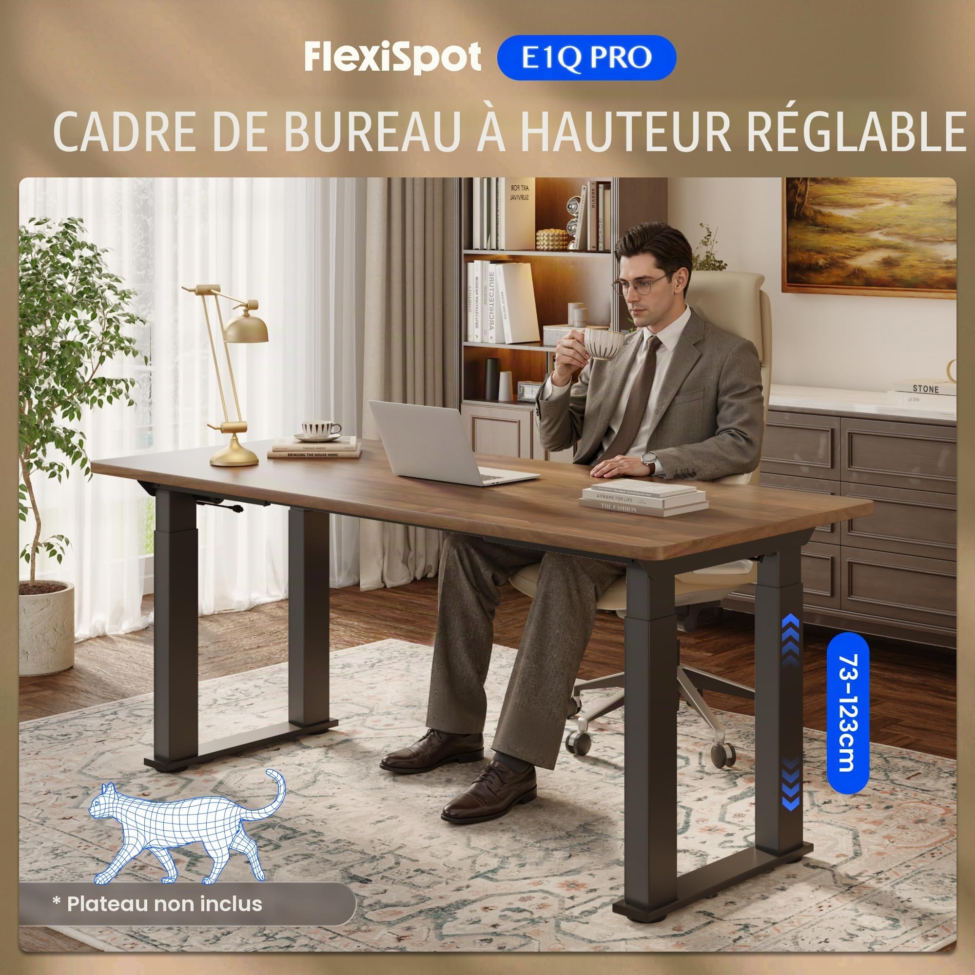 FLEXISPOT Cadre Bureau Assis Debout, Table avec 4 Pieds et Double Moteurs, Table à Manger et Bureau, Télescopique 2 Directions (Capacité de Charge 150 kg)
