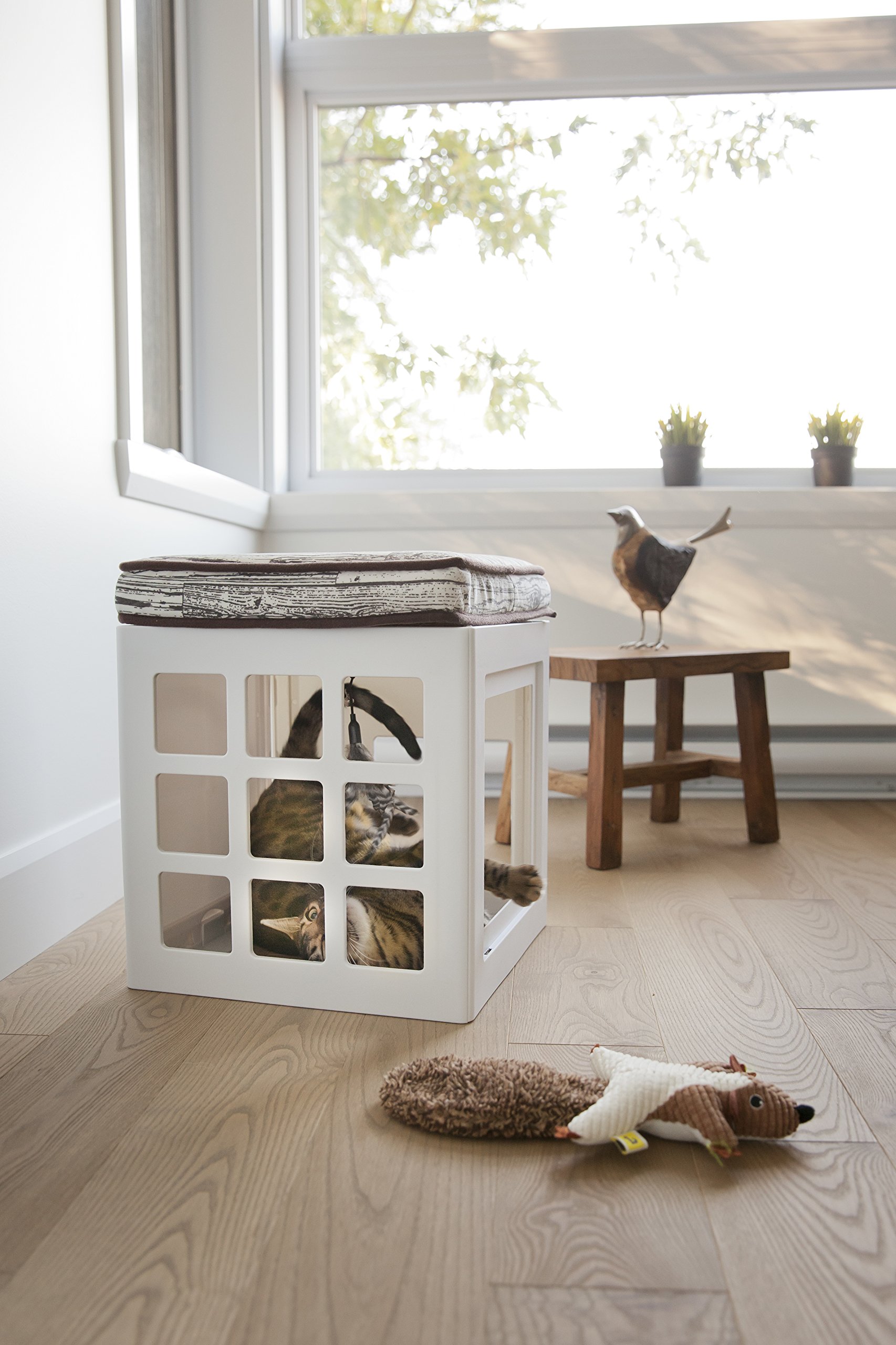 Katt3 Cube – Lot de 1