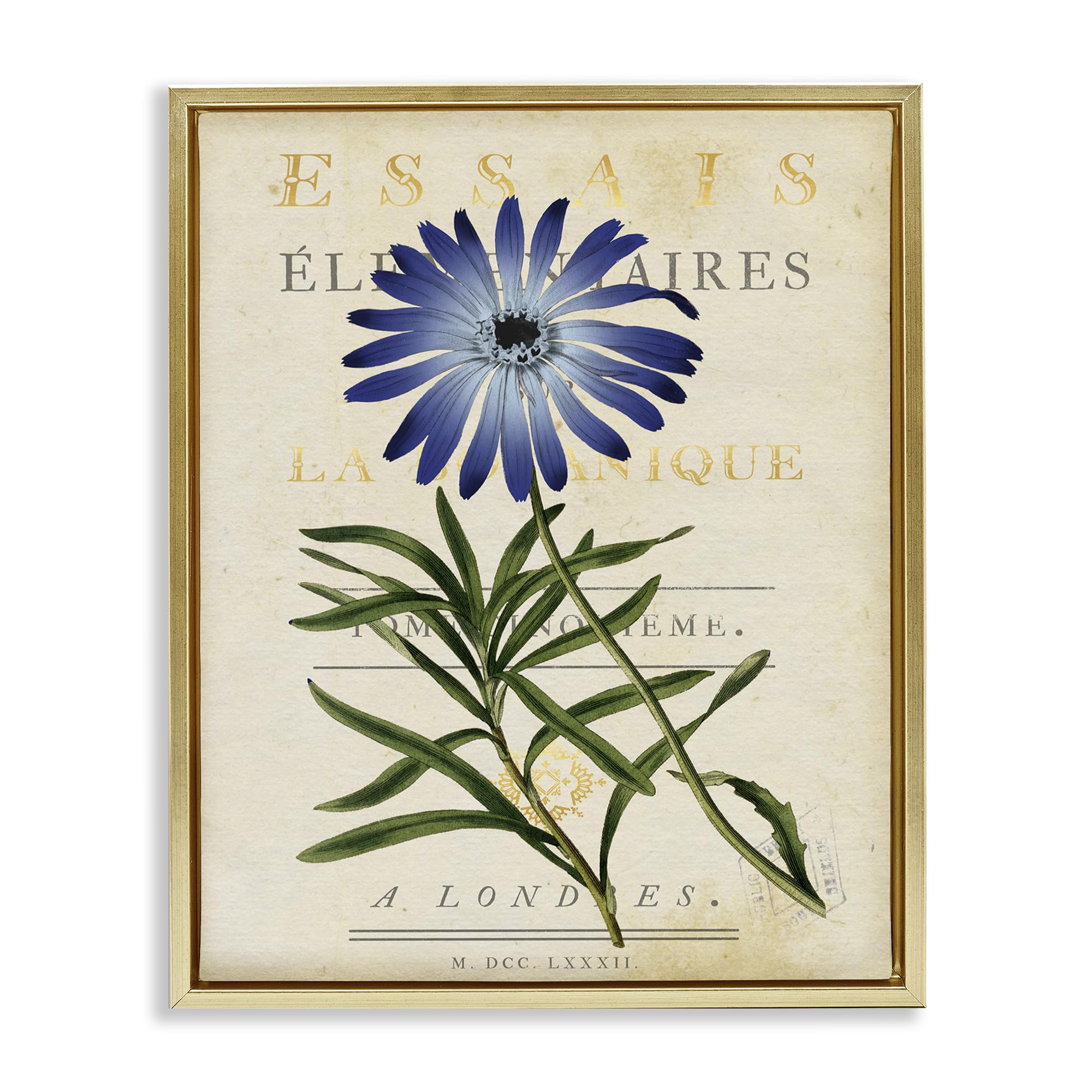 Stupell Industries Metallic Gold (Matte) 'Natural Botany Daisy'| Floating Frame Canvas Art