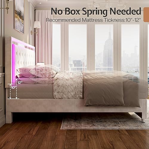 Miniatura 8 de Jocisland Base de cama Queen con cabecero y estribo de luces LED, tapizado de terciopelo, marco de cama tamaño Queen, no necesita somier, color crema