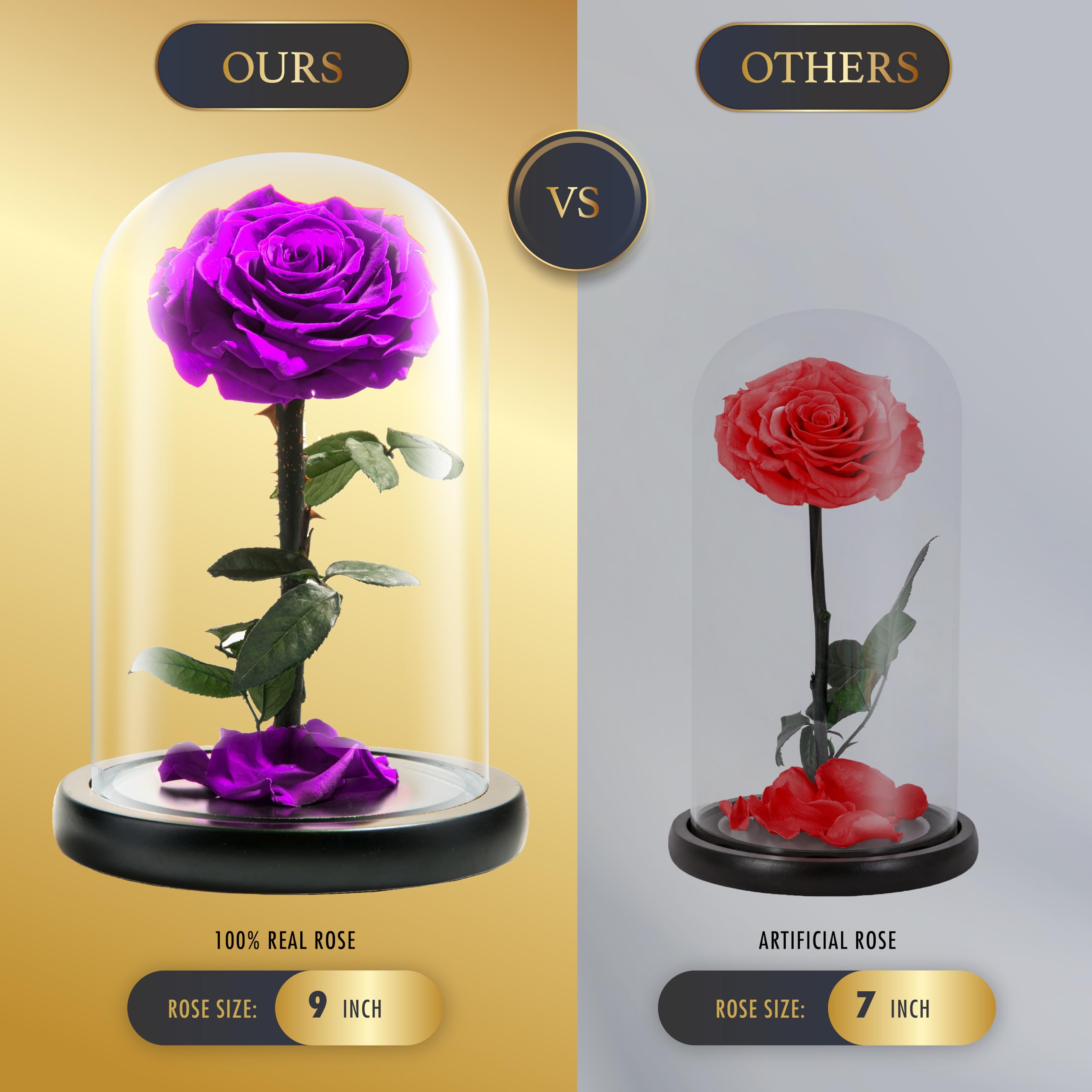 Eternal Enchanted Forever Preserved Rose - Infinity Rose in Glass Dome - Made from Real Fresh Beauty Rose - Romantic Gifts for Female - Valentines Day - Gift for Mom (Purple, 9 inch)