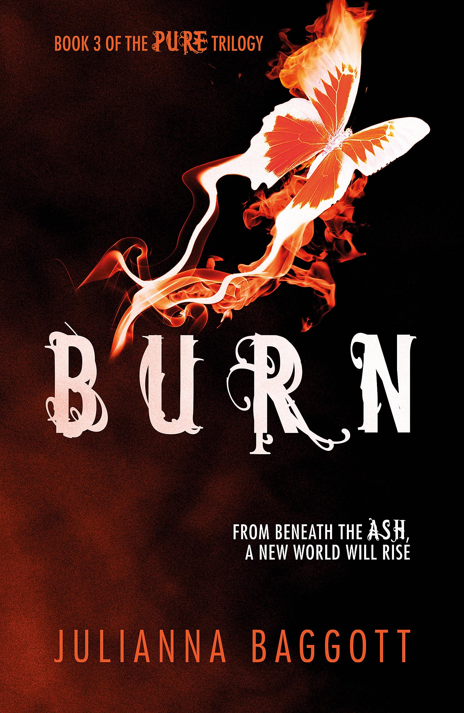 Burn by Julianna Baggott (Paperback Book)