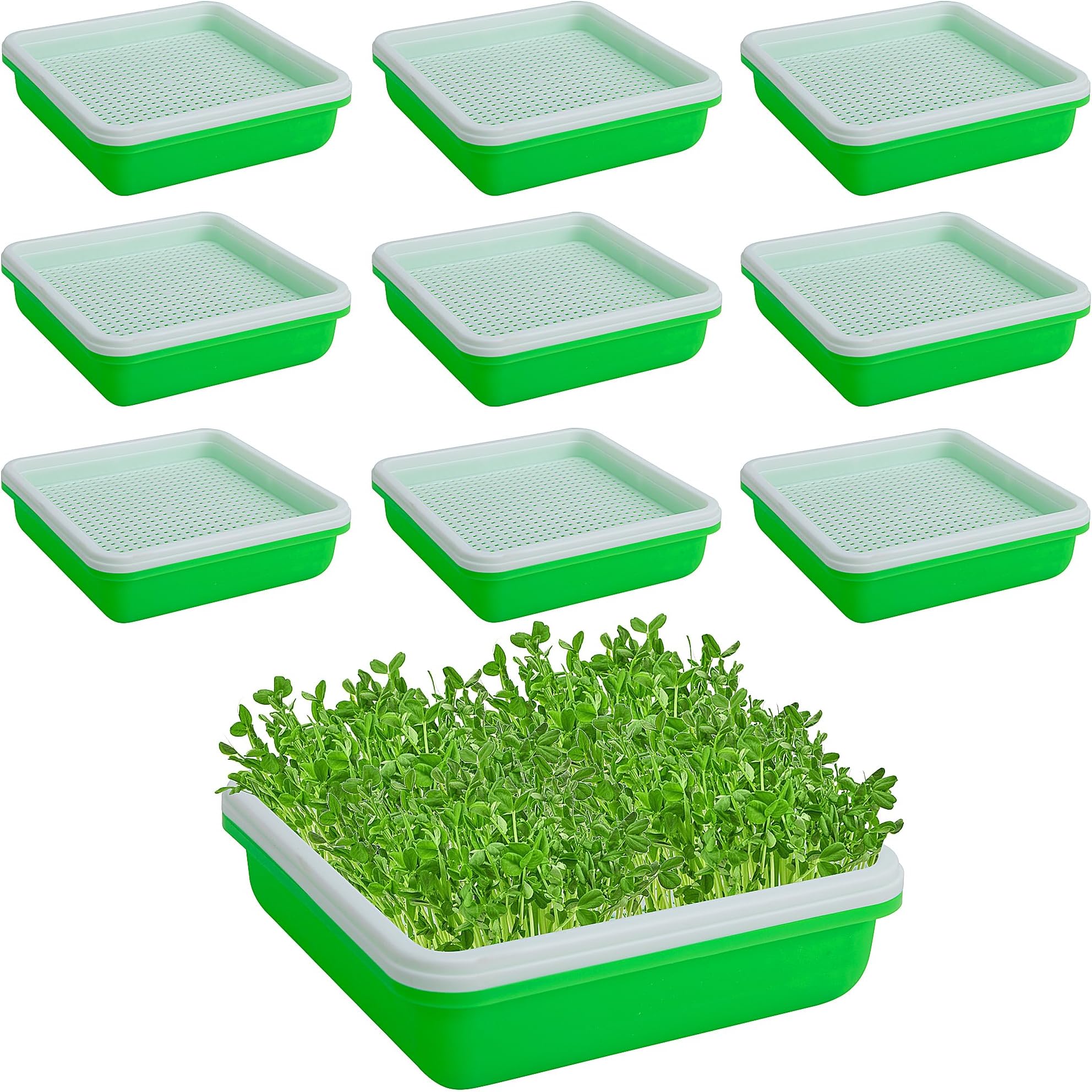 EBaokuup 10 Pack Seed Sprouter Tray with Drain Holes - Nursery Tray Seed Germination Propagation Trays - Soil-Free Wheatgrass Sprouting Growing Kit for Garden Home Office Seedling