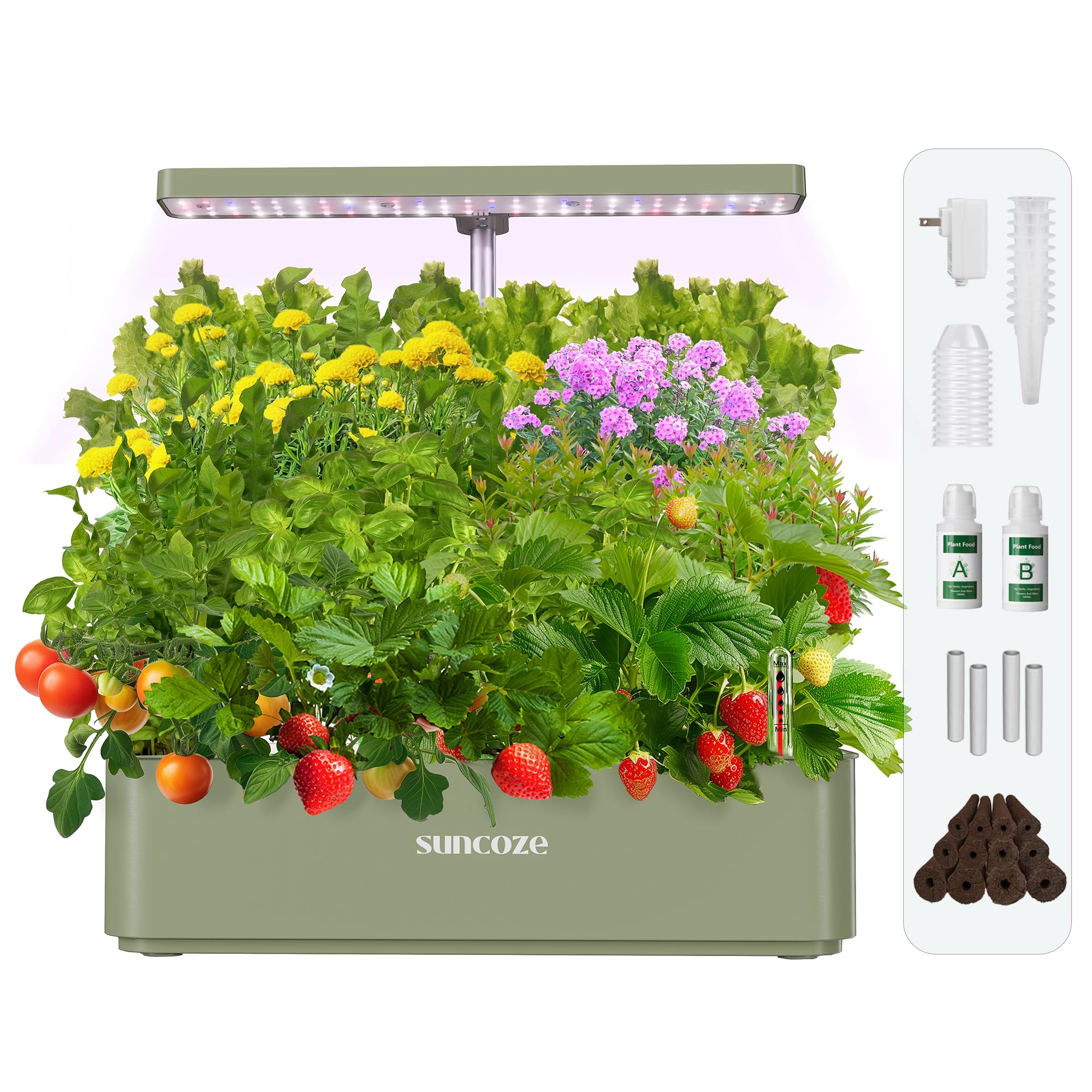 SUNCOZE Hydroponics Growing System Kit 12 Pods, 24W LED Grow Light Indoor Garden, 4L Water Tank with Quiet Pump, Adjustable Height Herb Garden Planter Indoor Kit, Gardening Gifts,: Green