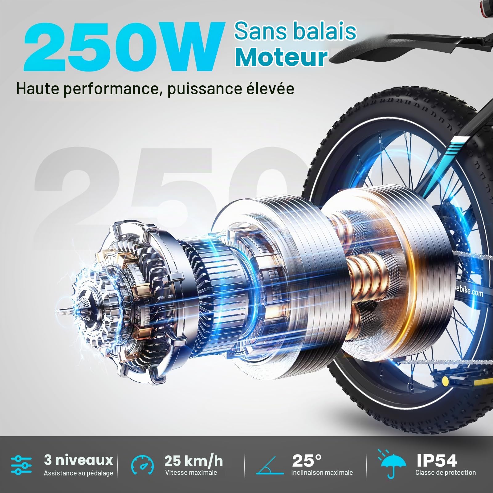 COLORWAY Velo Electrique Homme et Femme, VTT Electrique Adulte, avec Batterie au Lithium Amovible 36V12Ah, Ville E-Bike avec 7 Vitesses, Moteur 250W,Autonomie 35-90 km