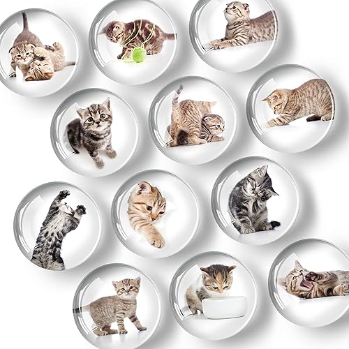 Miniatura 9 de Imanes decorativos para nevera  Imanes de vidrio para refrigerador  Bonitos imanes de nevera para oficina y cocina  Imanes de pizarra blanca