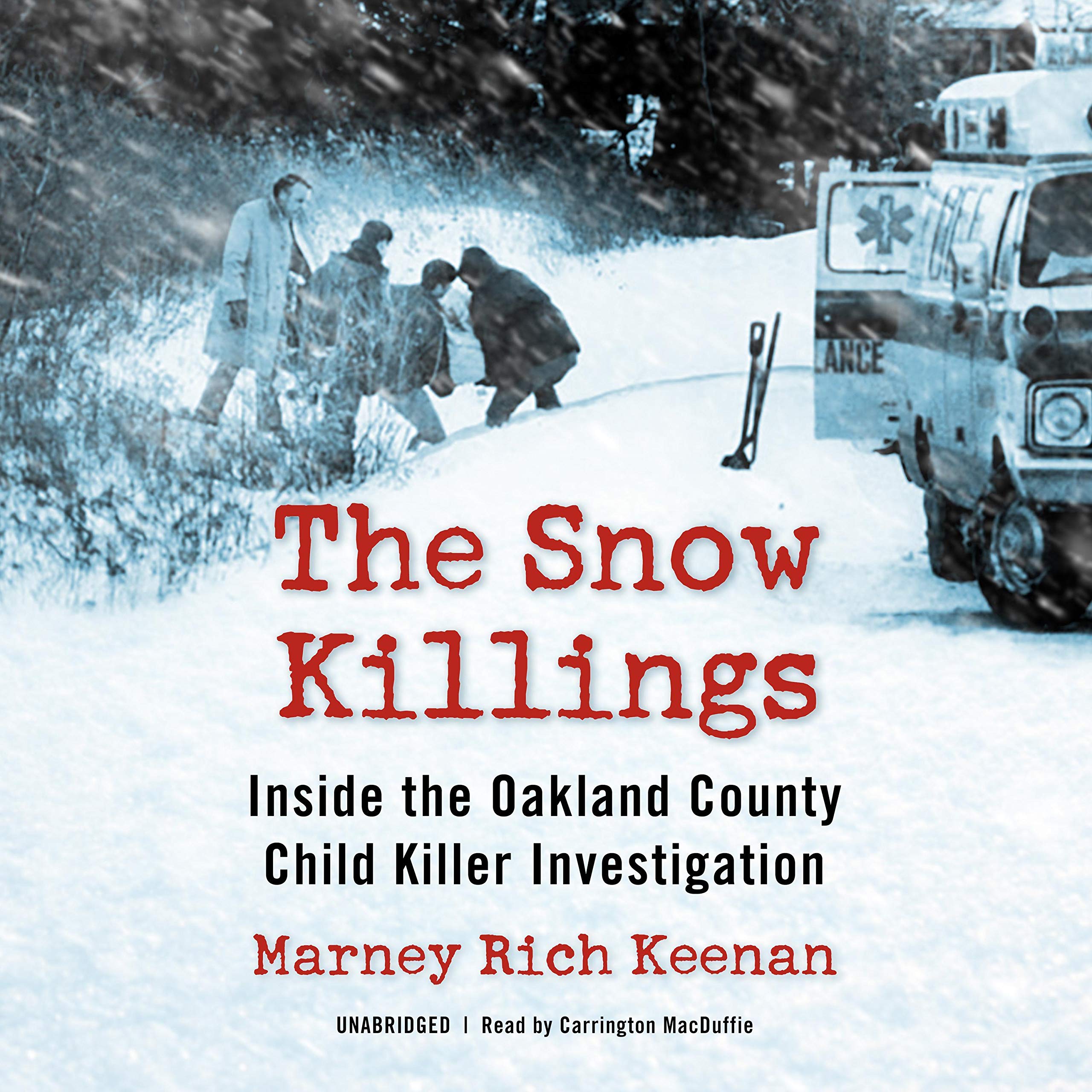 Cover art for The Snow Killings