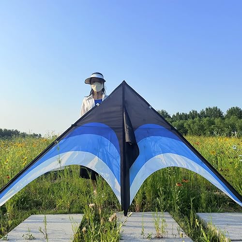 Miniatura 2 de Kaiciuss Juego de cometa de pulpo y cometa clásica Delta para niños y adultos