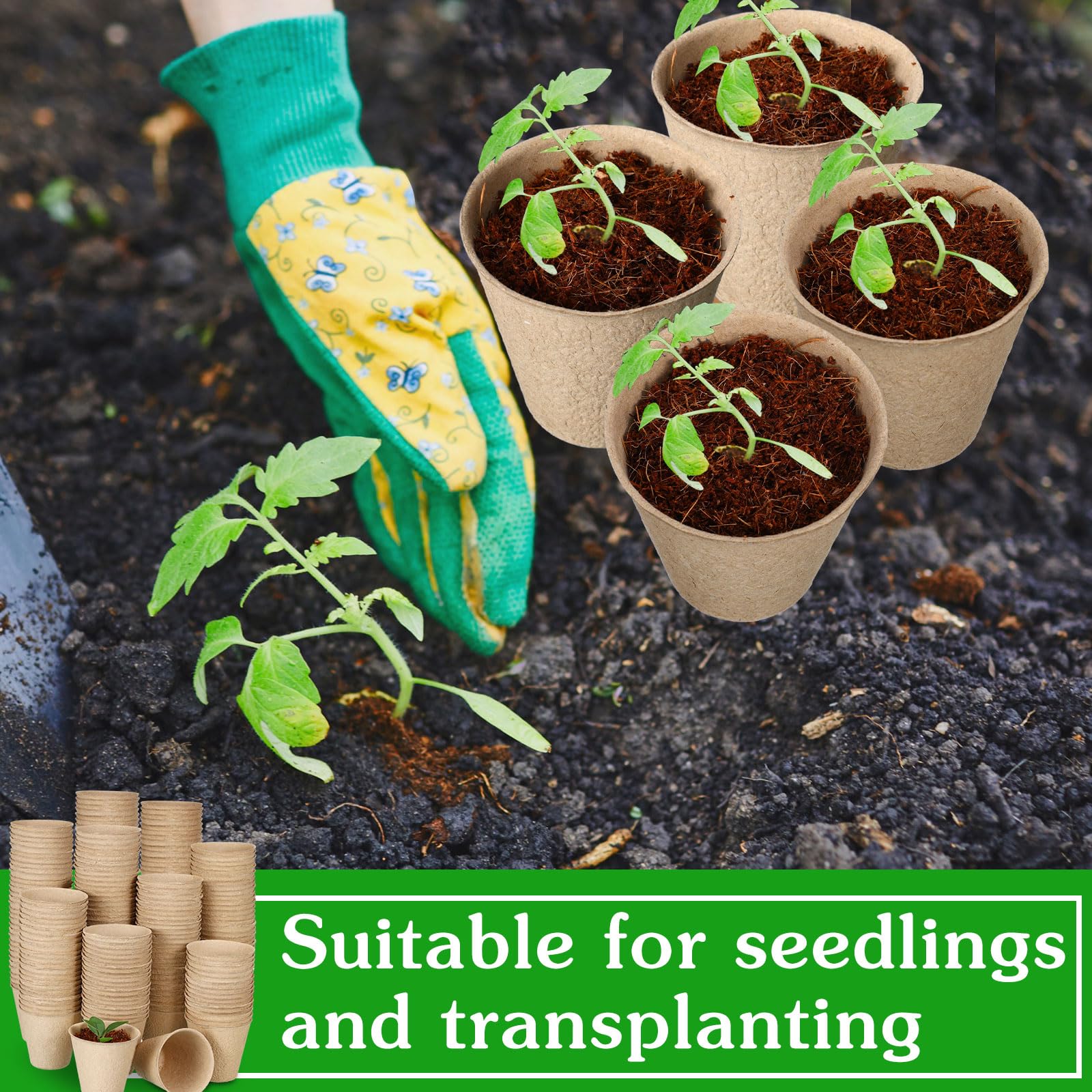 Layhit Lot de 1 000 pots de tourbe de 7,9 cm, kit de démarrage de semis, plateaux de démarrage de semis, pots pour semis avec 1 000 étiquettes pour plantes, 10 outils de transplantation (ronds)