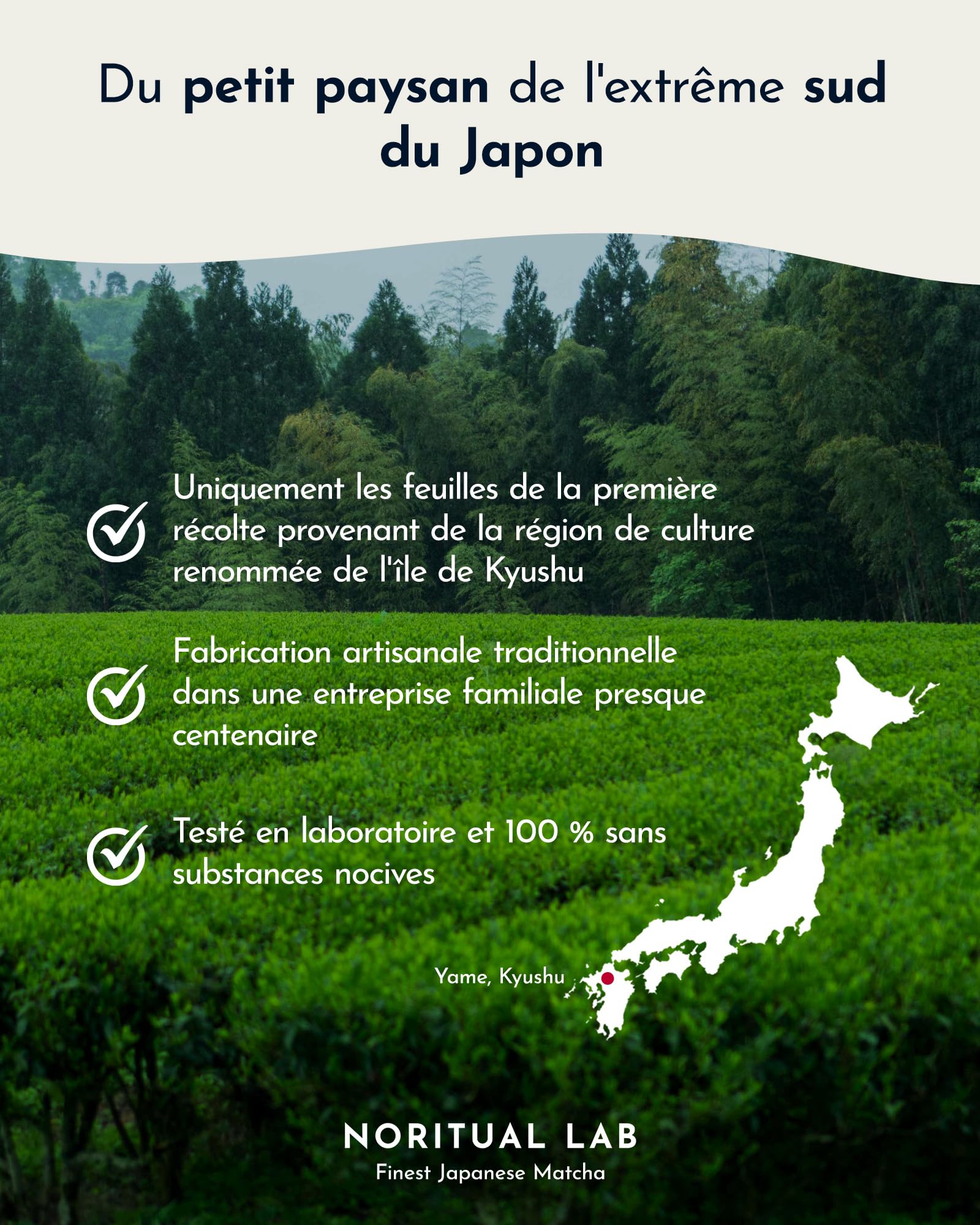 Ceremonial Matcha - Poudre de Matcha pure du Japon - Ceremonial Grade - Thé vert Matcha original - Première récolte - 100% naturel et testé en laboratoire - 40g