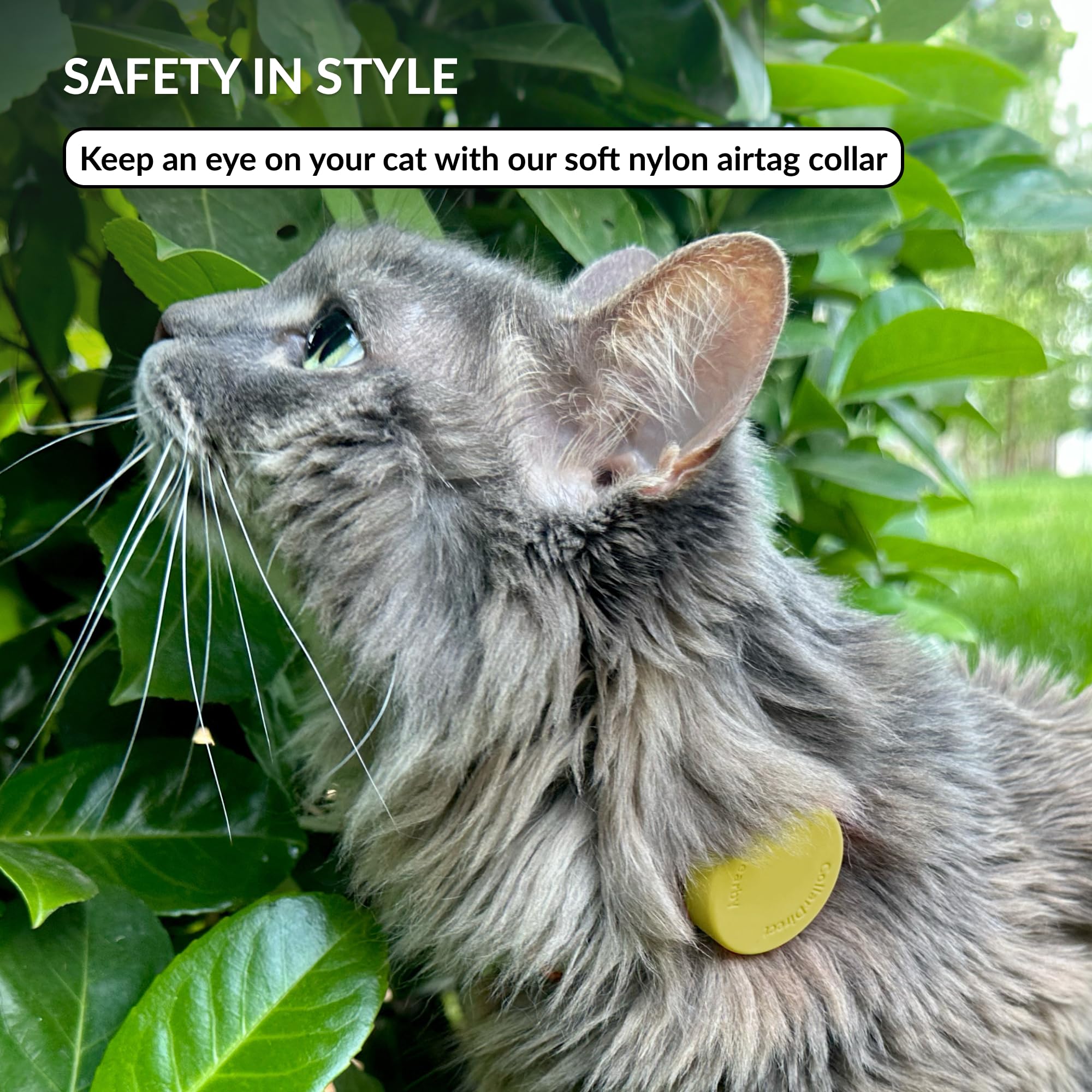 CollarDirect Breakaway Nylon Cat Collar with Airtag Holder and ID Tag - Green, S
