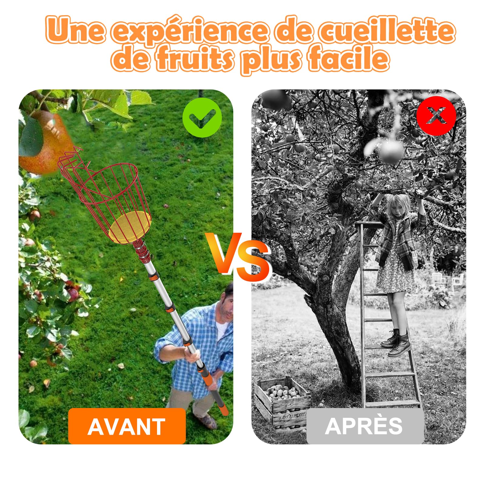 SISUPASSIE Cueille Fruit Télescopique 6m, Cueille Cerise Telescopique avec Grand Panier, Ramasse Cerise pour Pommes, Oranges, Citrons, Mangues, Avocats