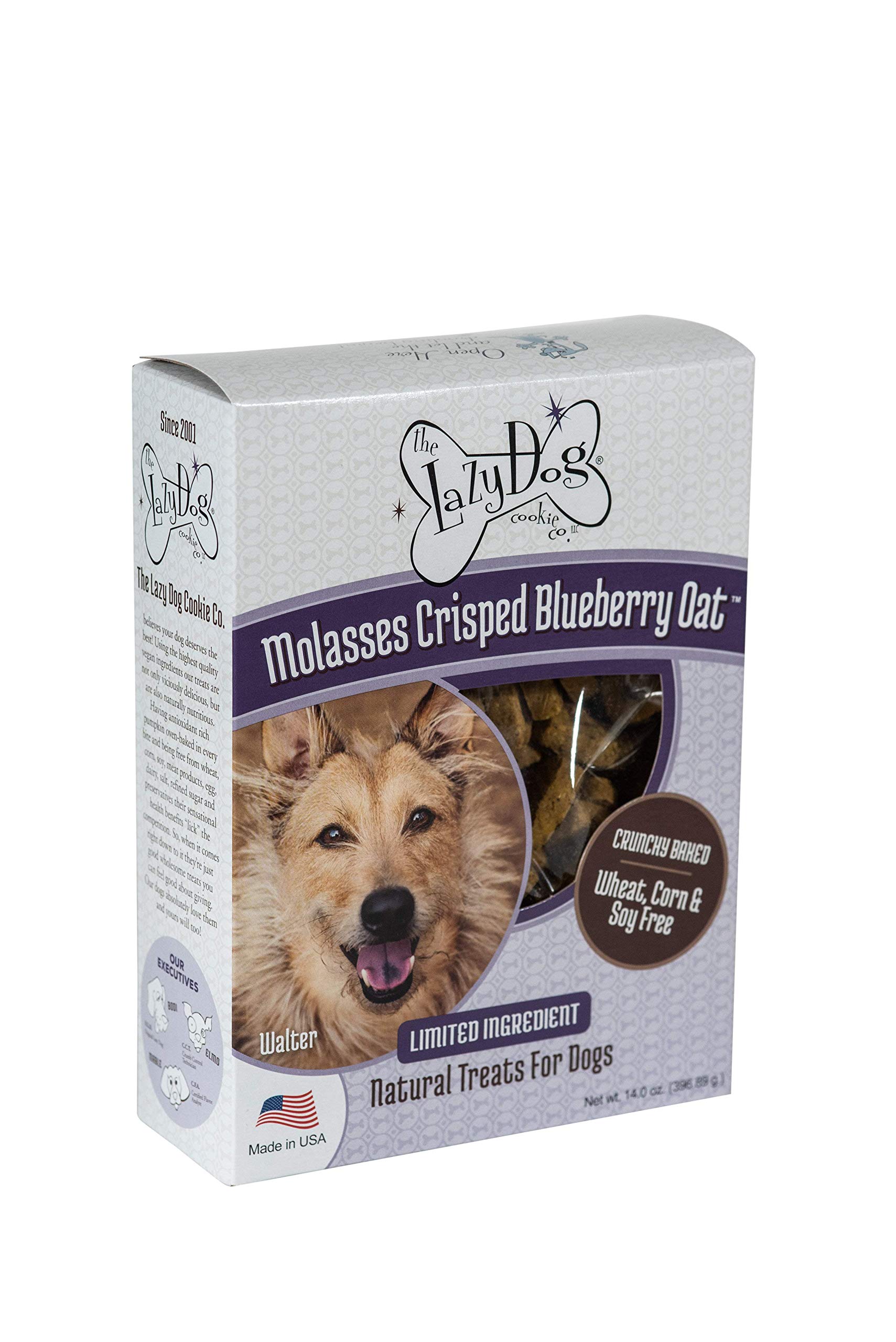 Can Dogs Have Molasses