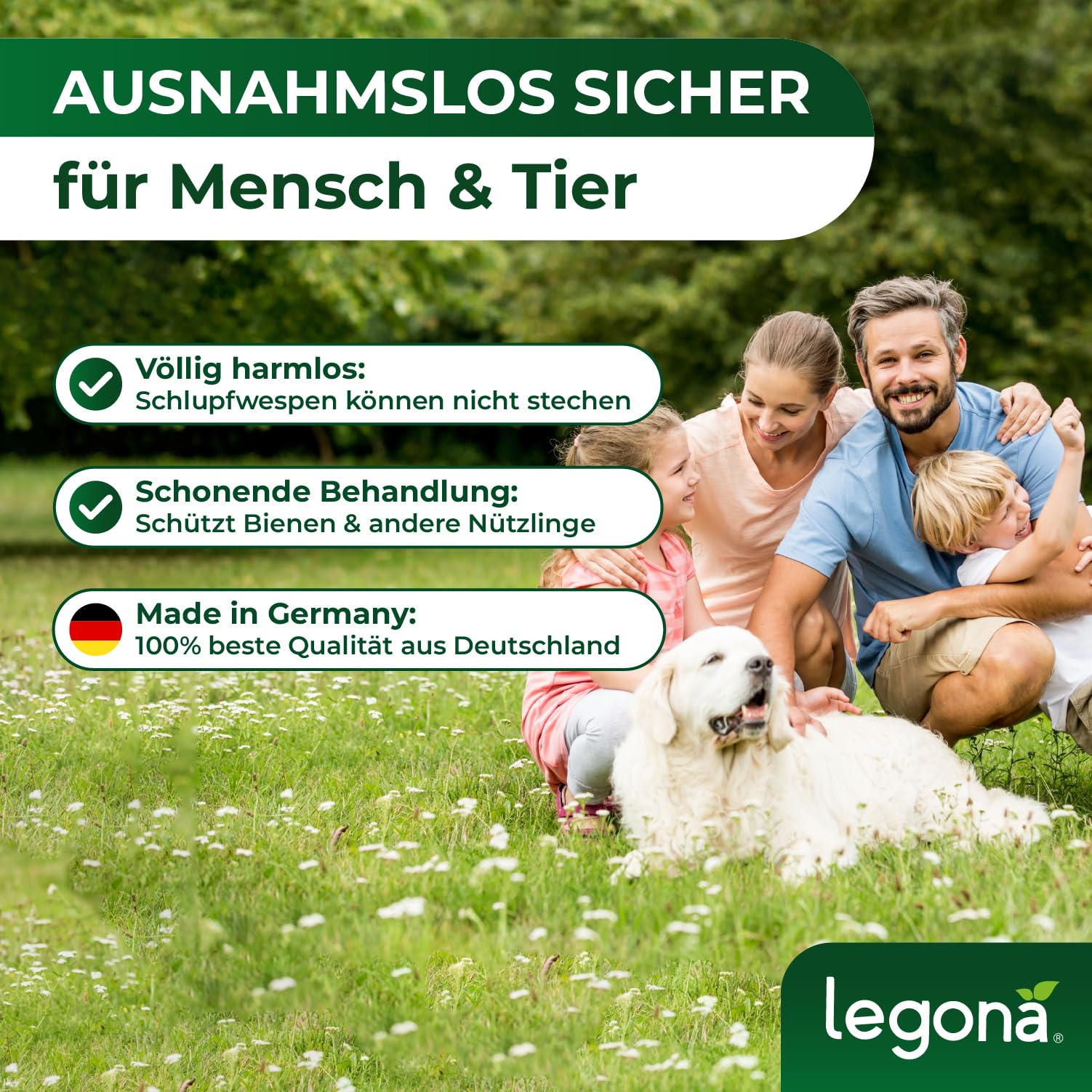 Legona EF-Schlupfwespen gegen Weiße Fliegen, 10 Träger 3 Lieferungen