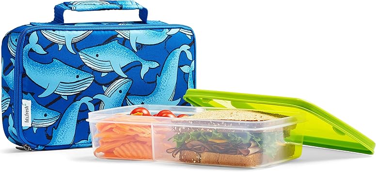 Fit and fresh lunch containers Clearance