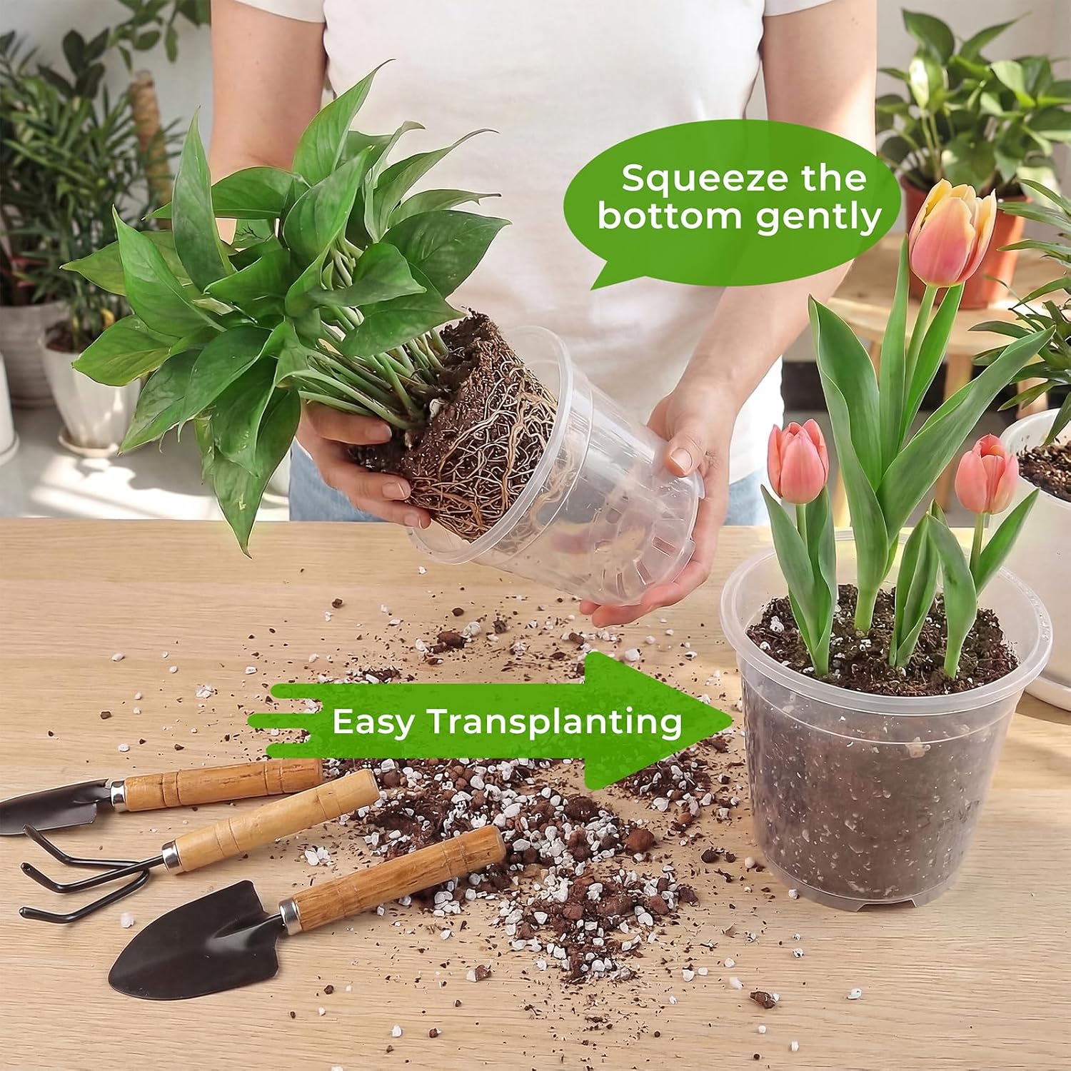 8 Pack Clear Nursery Pots with Drainage Holes, 5/6/6.7/7.5 Inch Sturdy Transparent Plastic Planters for Indoor & Outdoor, Includes 10 Labels, Ideal for Seed Starting and Planting