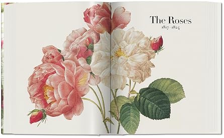 Redoute. The Book of Flowers